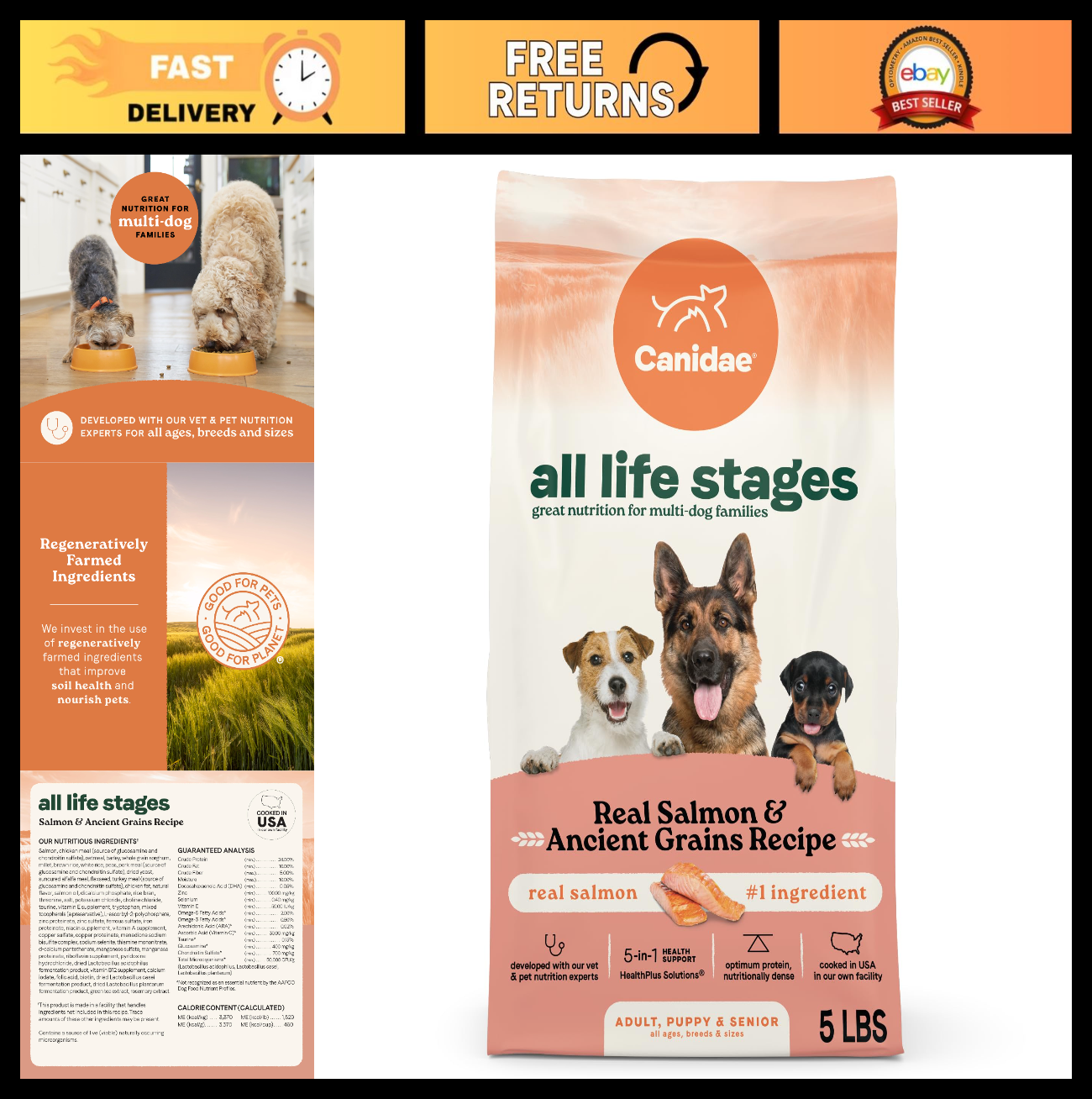Premium All Life Stages Dog Food, Real Salmon & Ancient Grains, 5 lb Bag0