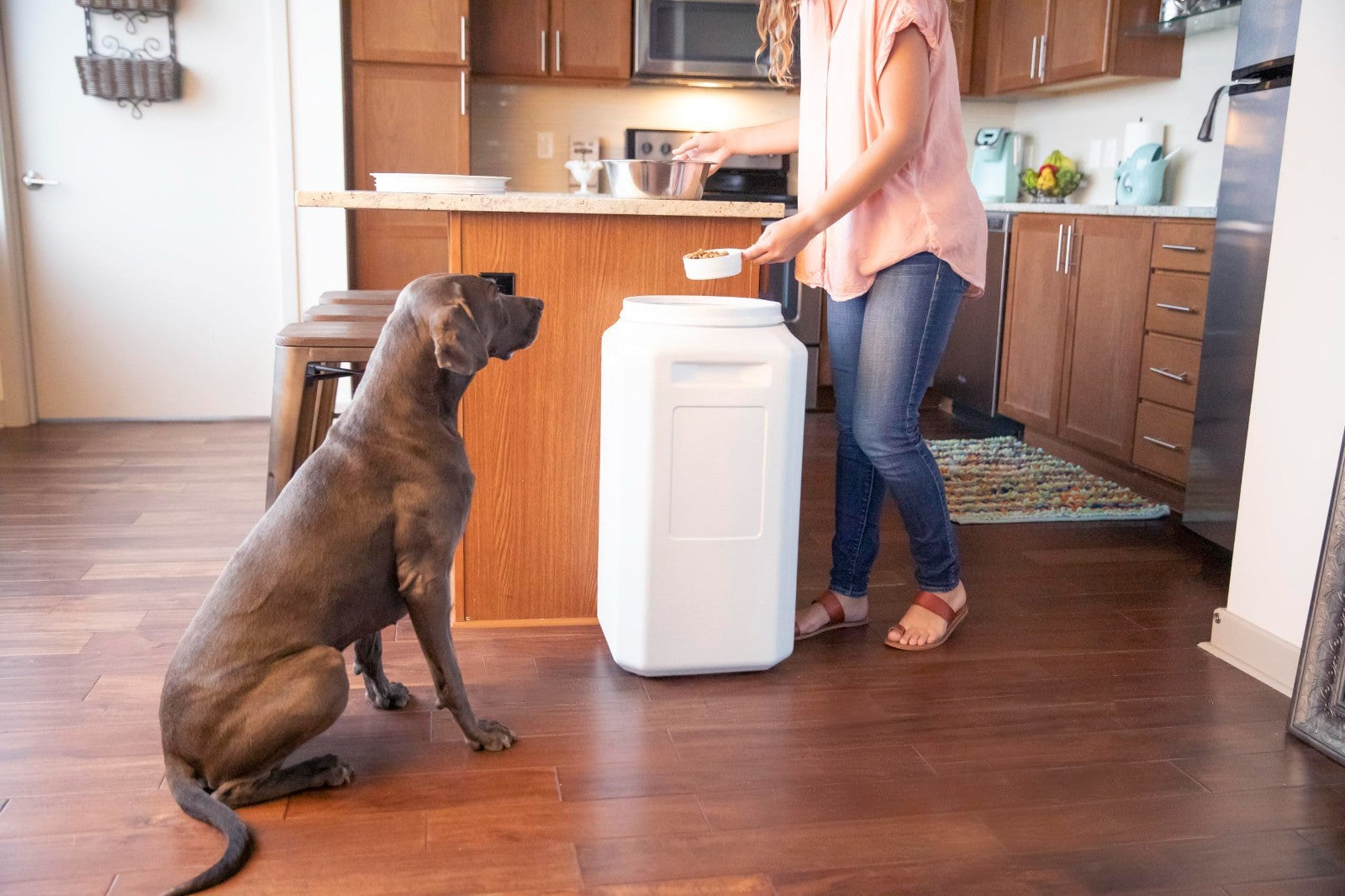 Pet Food Storage Container with Scoop, 80lbs Capacity, Gray - Dog & Cat Supplies2