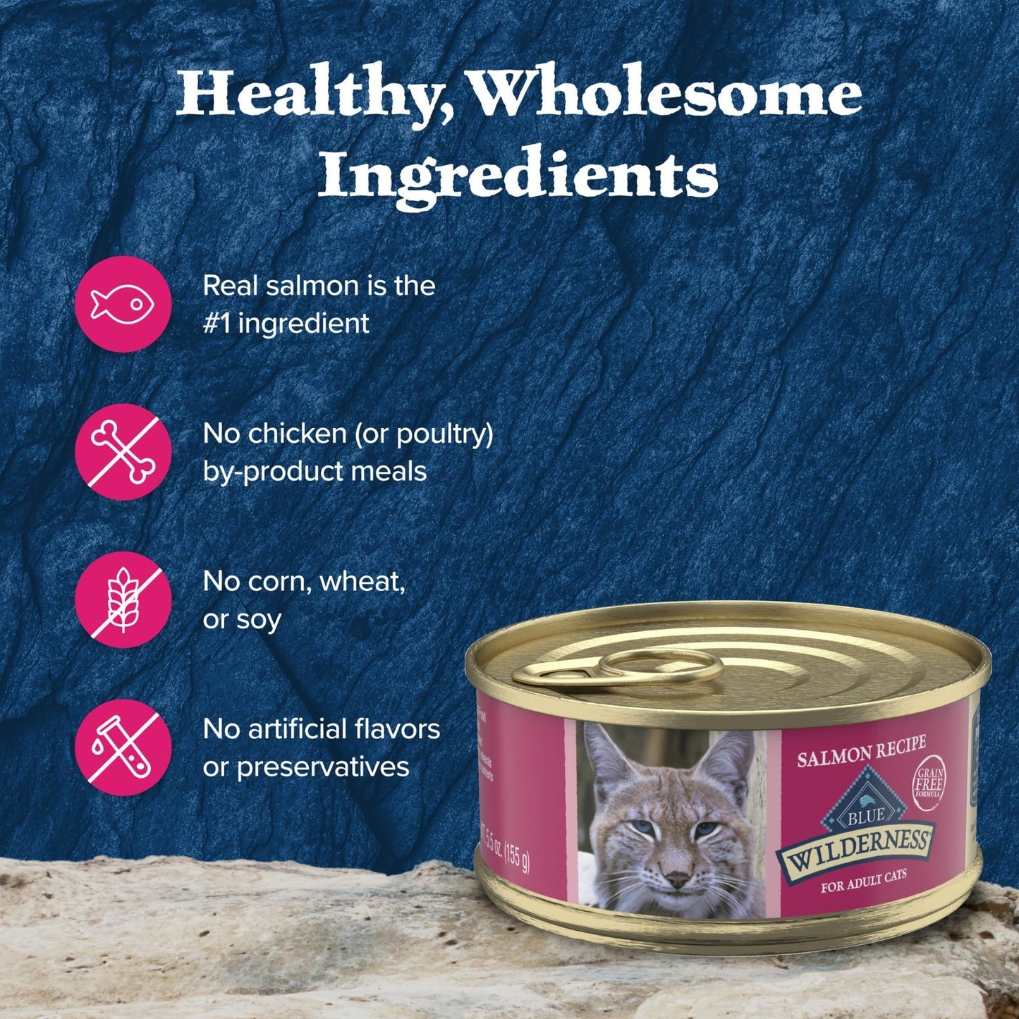 High Protein Salmon Paté Wet Cat Food, Grain Free, 5.5 oz, 24 Cans, Adult Cats5