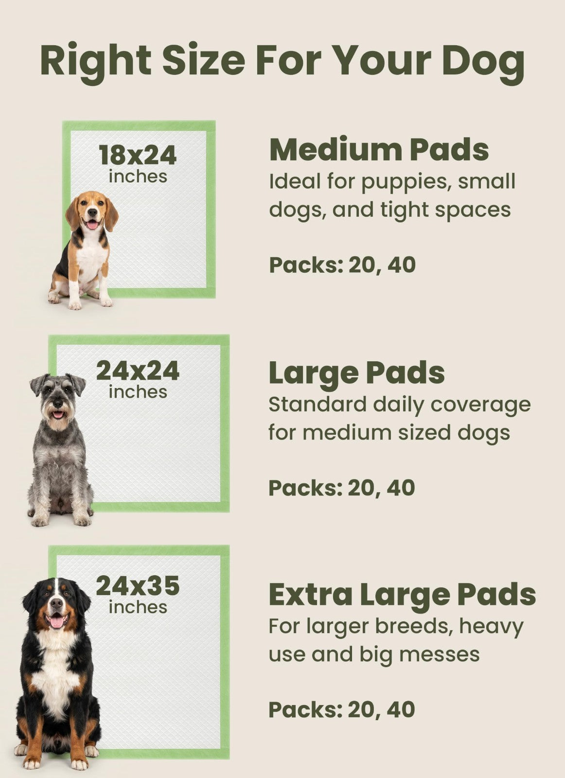 Large Dog Pads with Sticky Tabs - Super Absorbent, Odor Blocking, 40-Count (24x24