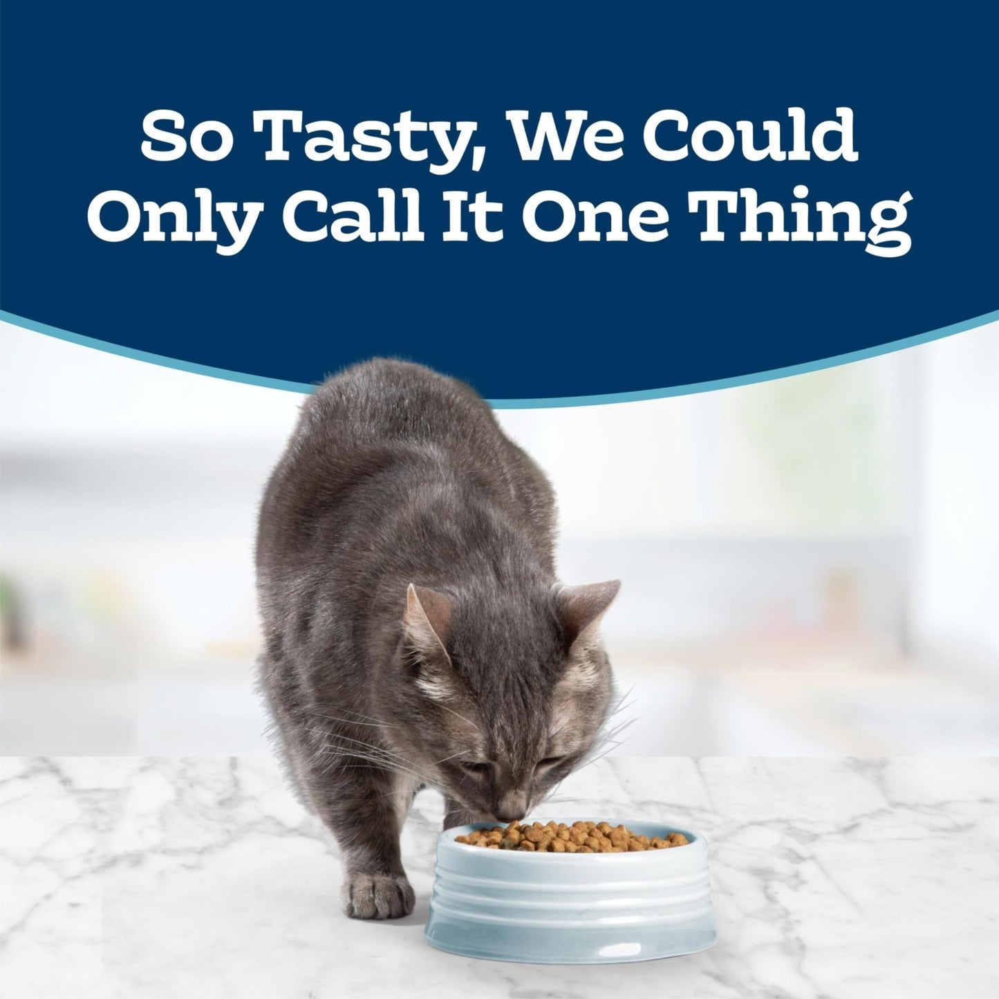 Indoor Dry Cat Food   Chicken Flavor, 7 lb   Healthy Nutrition for Adult Cats2