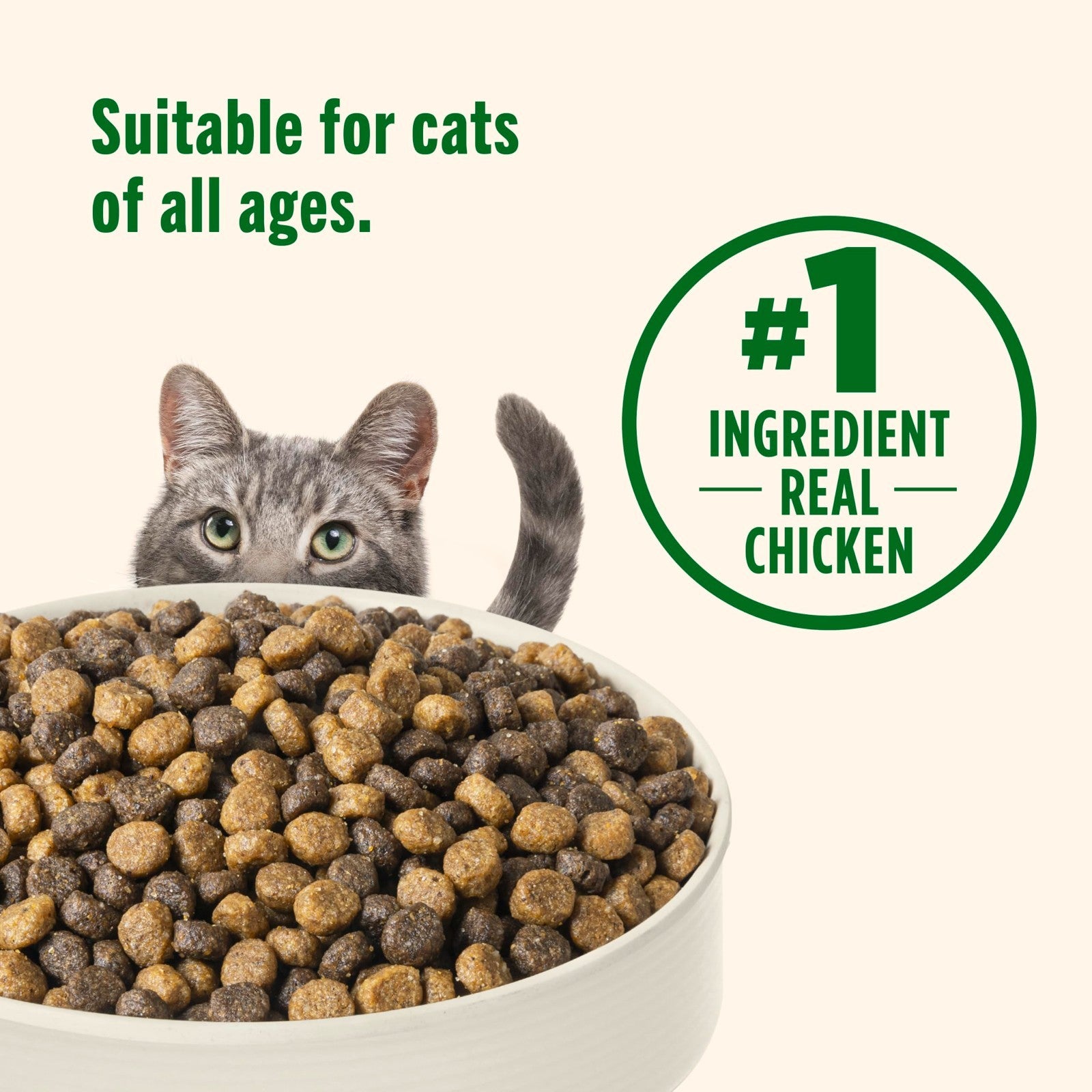 Premium Dry Cat Food   Chicken & Brown Rice Recipe, 3 lb Bag, Healthy Nutrition4