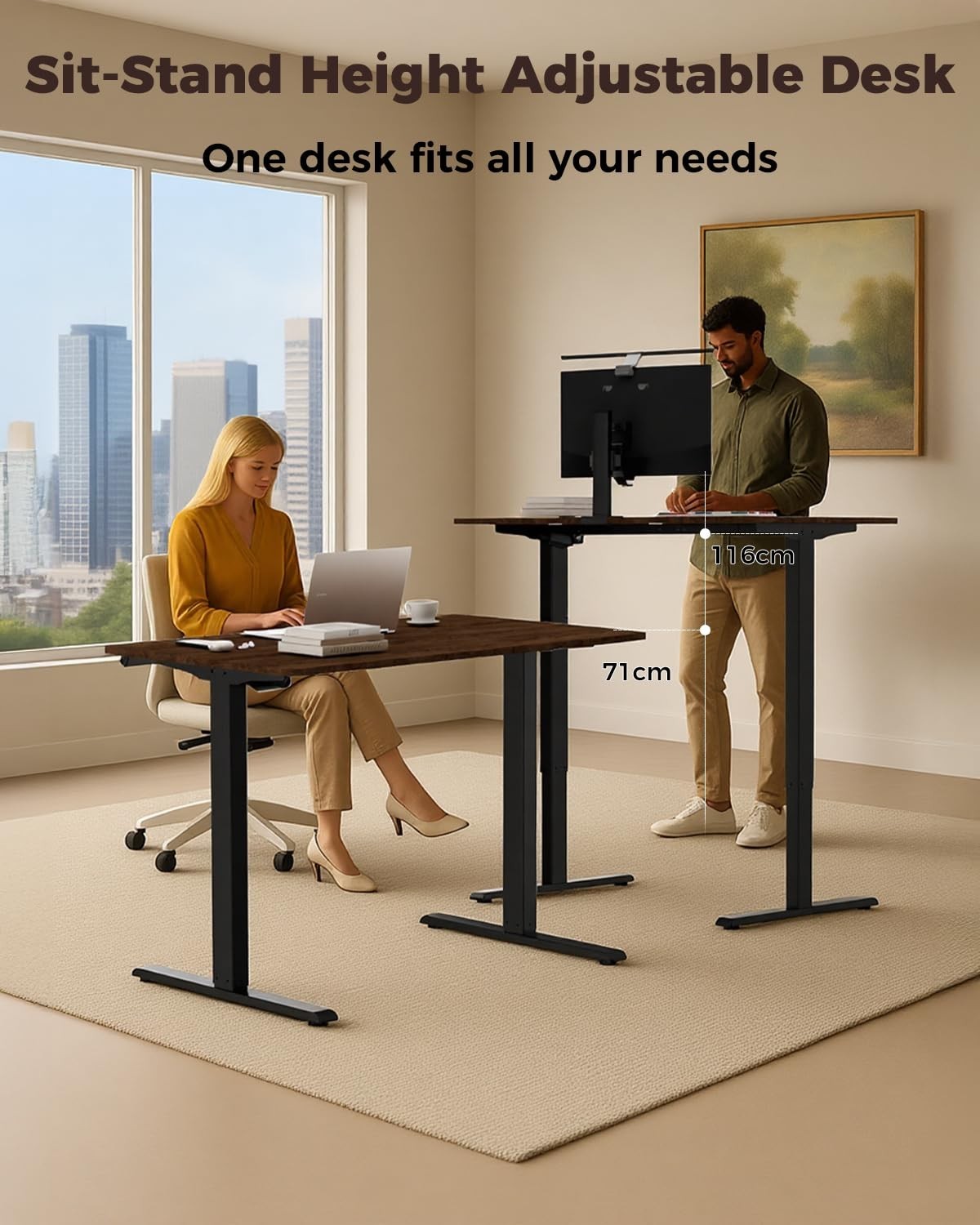 Height Adjustable Electric Standing Desk 48"x24", Ergonomic Sit Stand Desk, Memo6