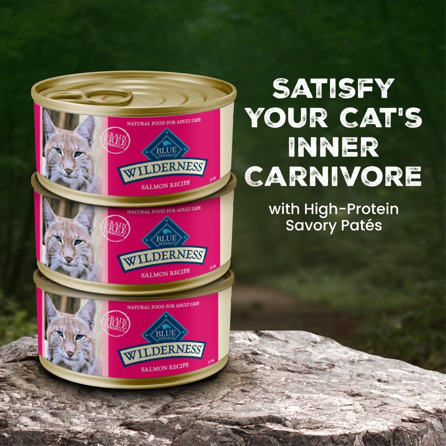 Grain Free Salmon Paté Wet Cat Food, 3 oz Cups, 24 Pack   High Protein, Natural3