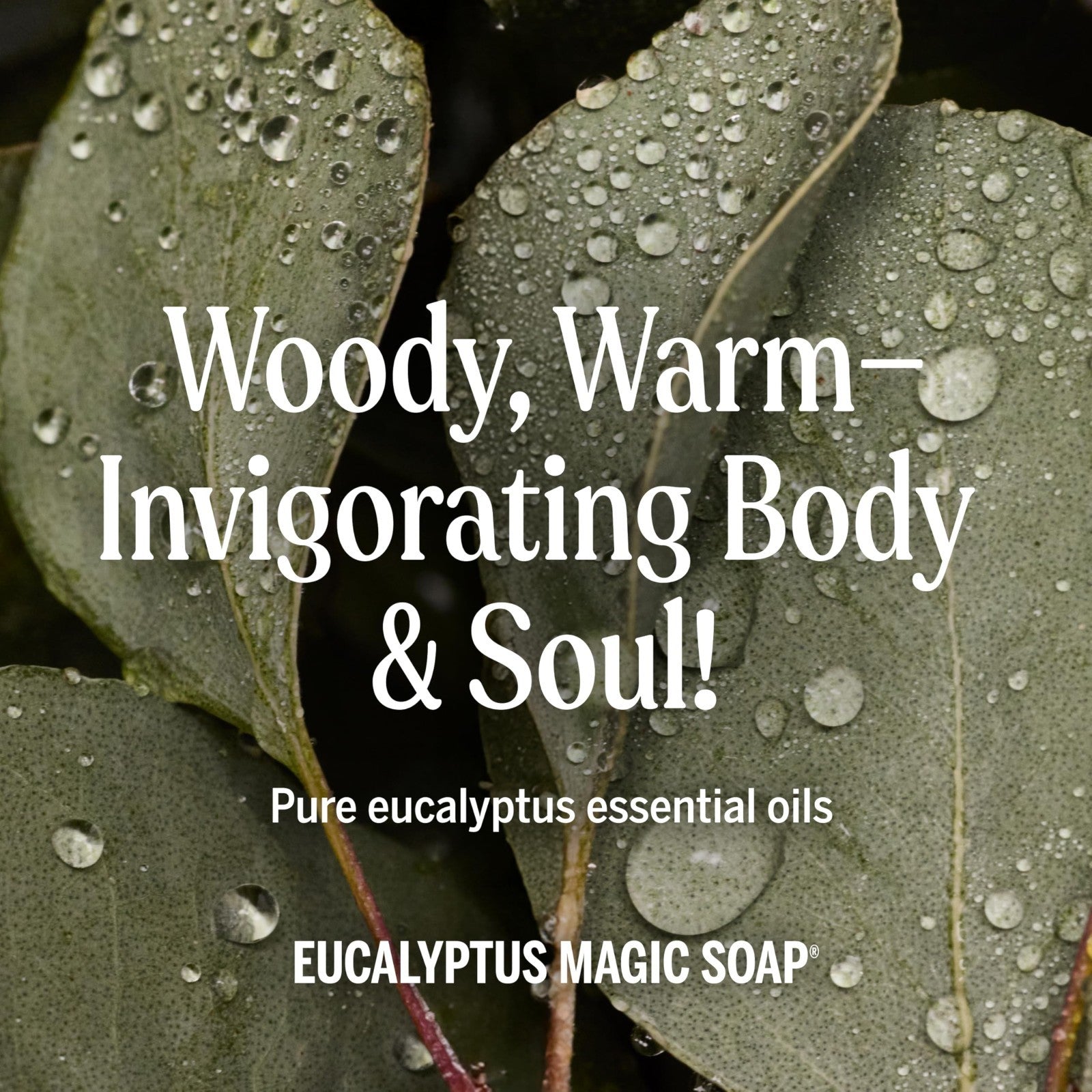 Pure Castile Liquid Soap Refill 32oz Eucalyptus 2-Pack - Organic, Vegan, Multi-U3