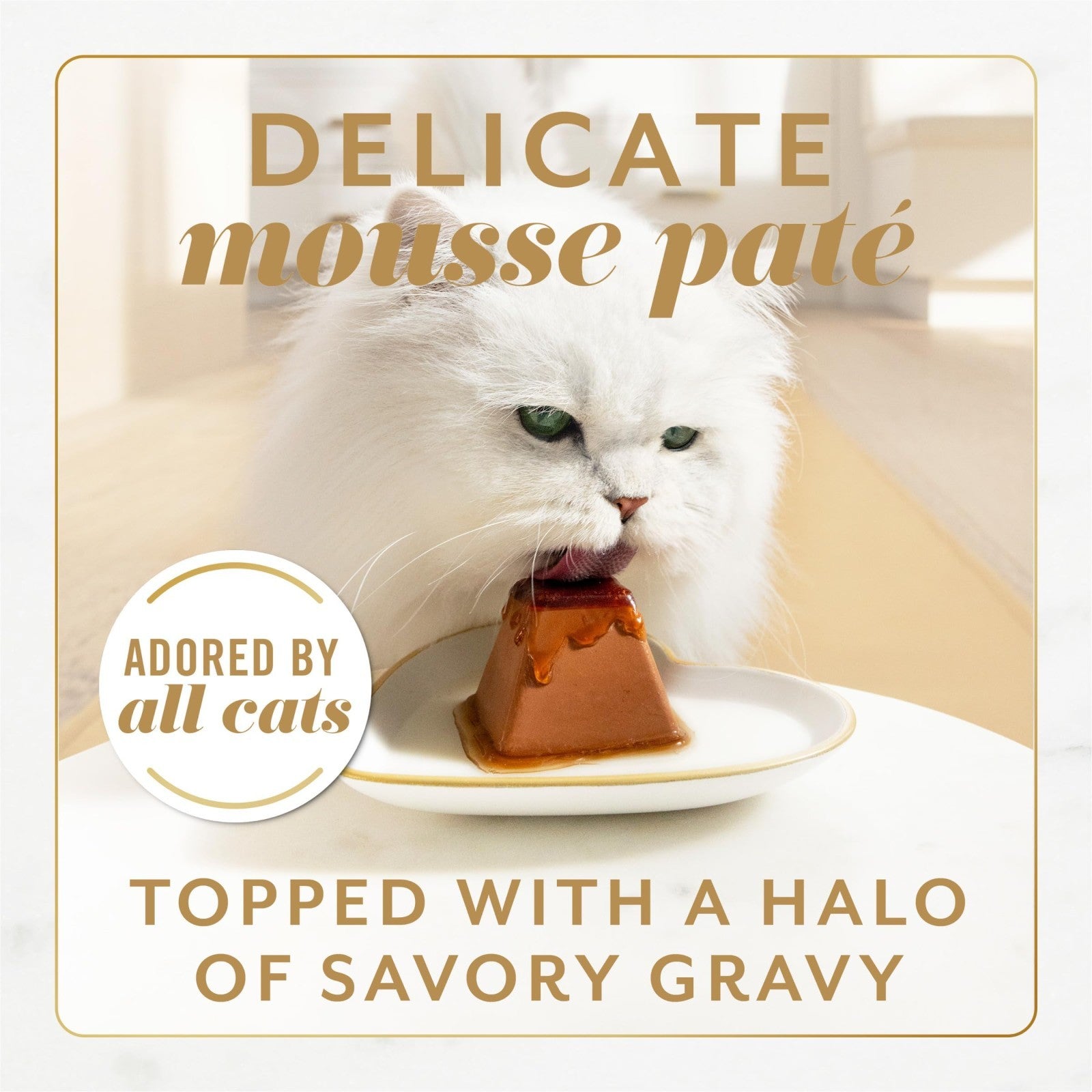 Gourmet Wet Cat Food Variety Pack   Salmon & Tuna Pate Mousse in Gravy   16 Cans2
