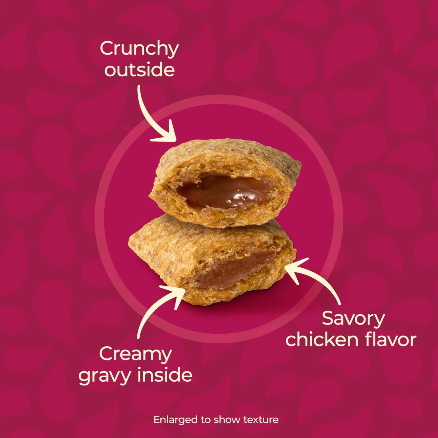 Chicken Flavored Cat Treats with Gravy Bursts, 6.3 Oz Bags   Pack of 5, Tasty Sn3