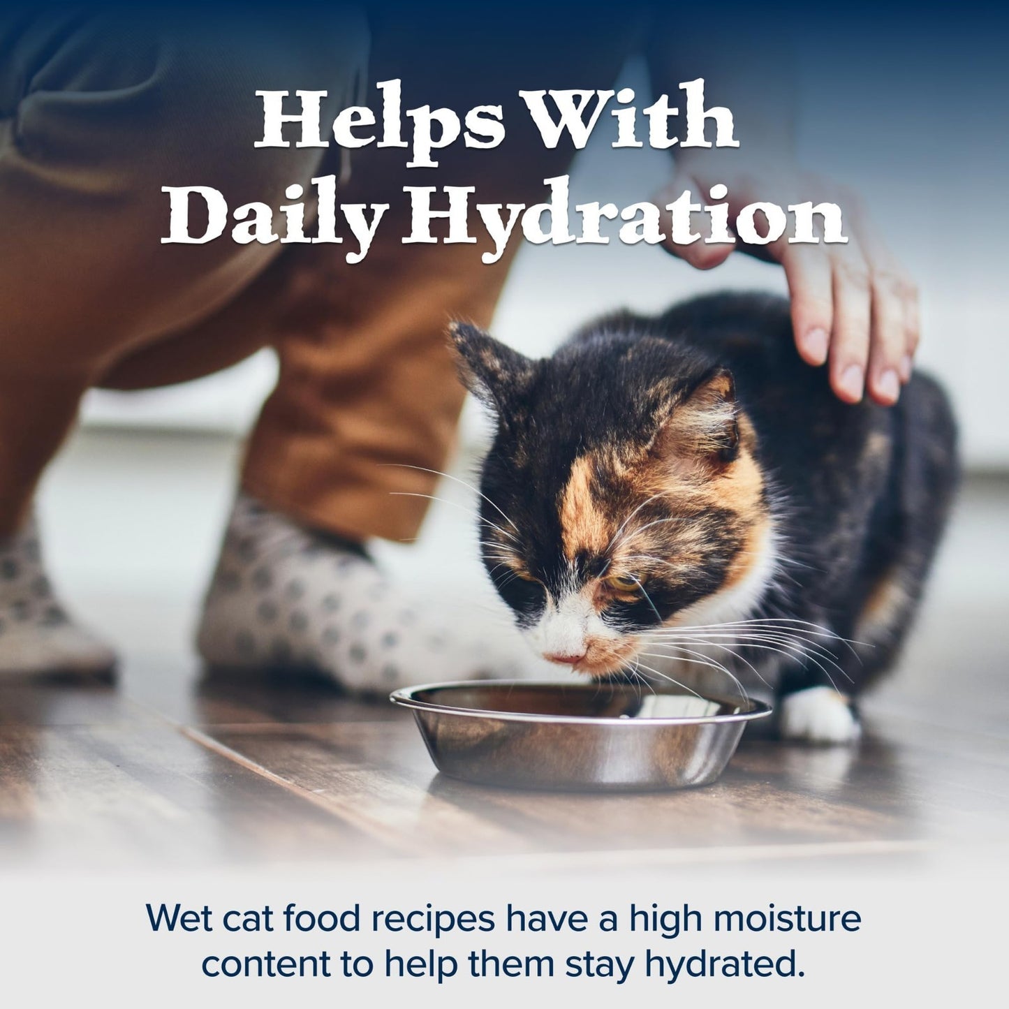 High Protein Salmon Paté Wet Cat Food, Grain Free, 5.5 oz, 24 Cans, Adult Cats6