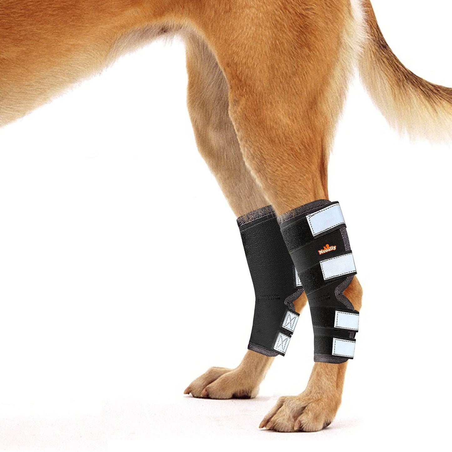 Rear Leg Hock Brace for Large Dogs - Support for Torn ACL & CCL, 1 Pair1