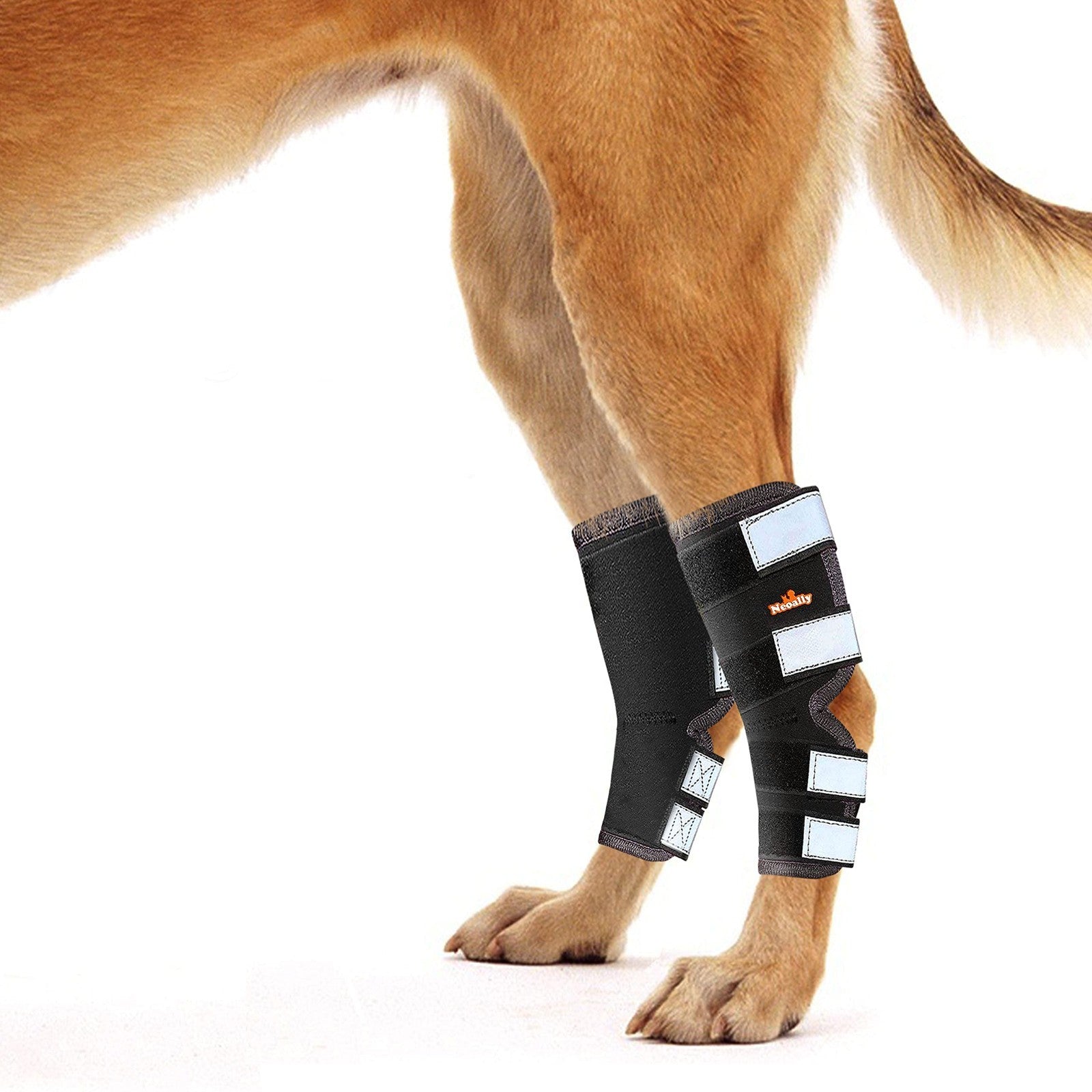 Rear Leg Hock Brace for Large Dogs - Support for Torn ACL & CCL, 1 Pair1