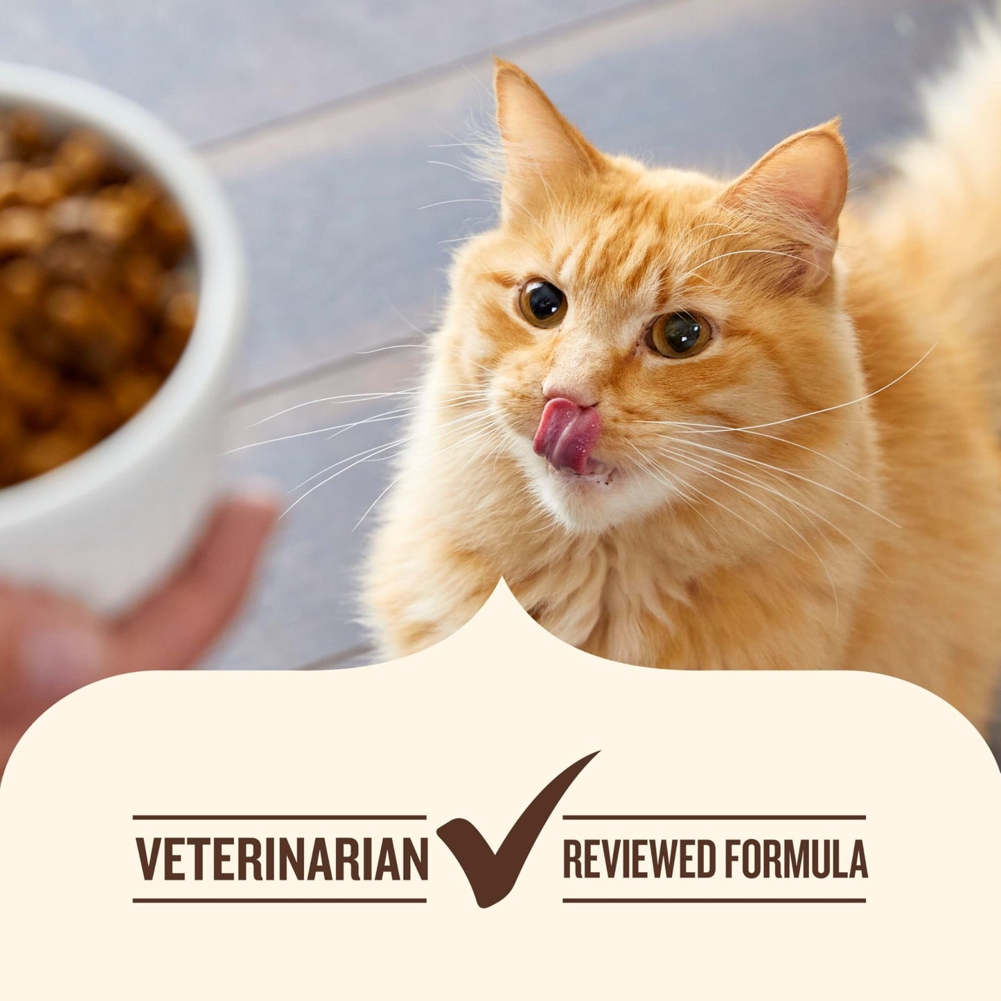 Premium Dry Cat Food   Chicken & Brown Rice Recipe, 3 lb Bag, Healthy Nutrition5