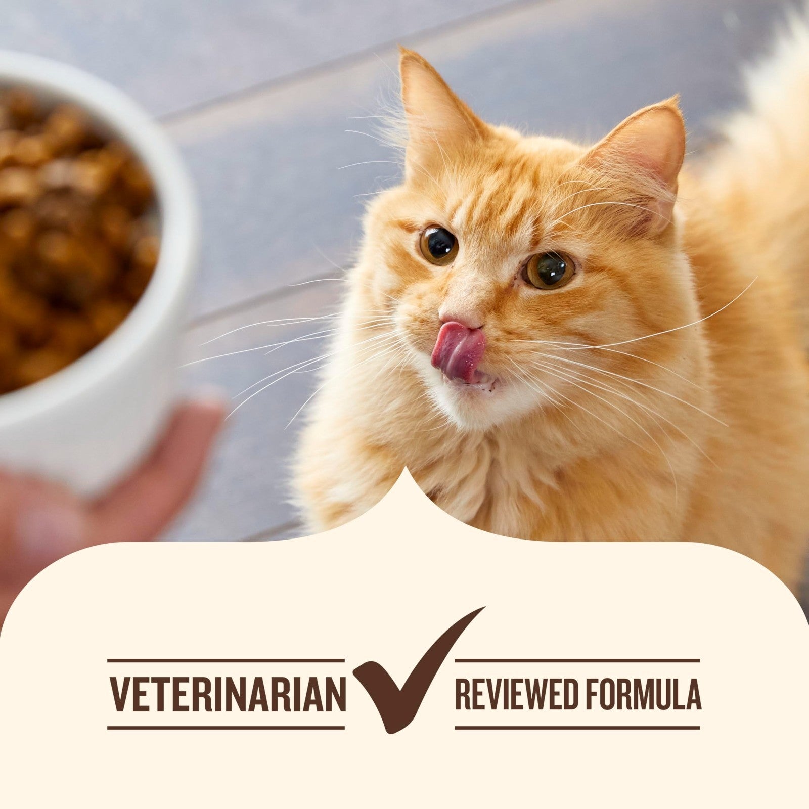 Premium Dry Cat Food   Chicken & Brown Rice Recipe, 3 lb Bag, Healthy Nutrition5