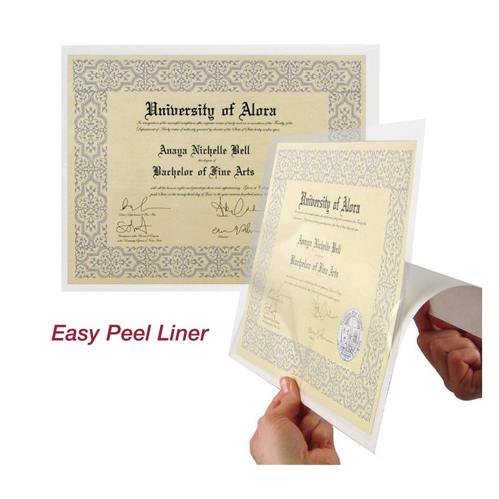 Clear Full Page Pocket Holders - Peel & Stick Adhesive, Top Loading, 8.5"x11", 53