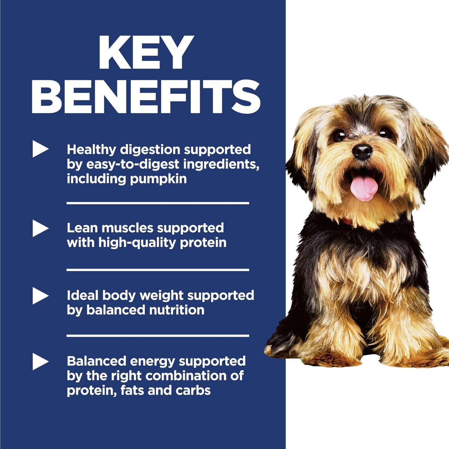 Premium Small & Mini Dry Dog Food for Adults 1 6 Years   Nutrient Rich Formula3