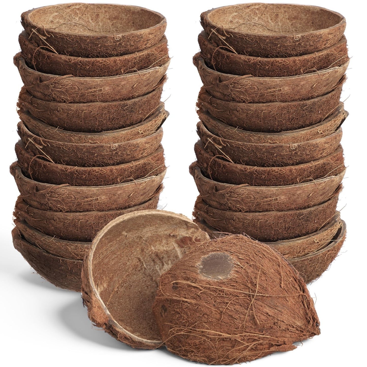 24 Pcs Natural Coconut Shell Bowl Halves - Smooth Bottom Craft Material & Decor0