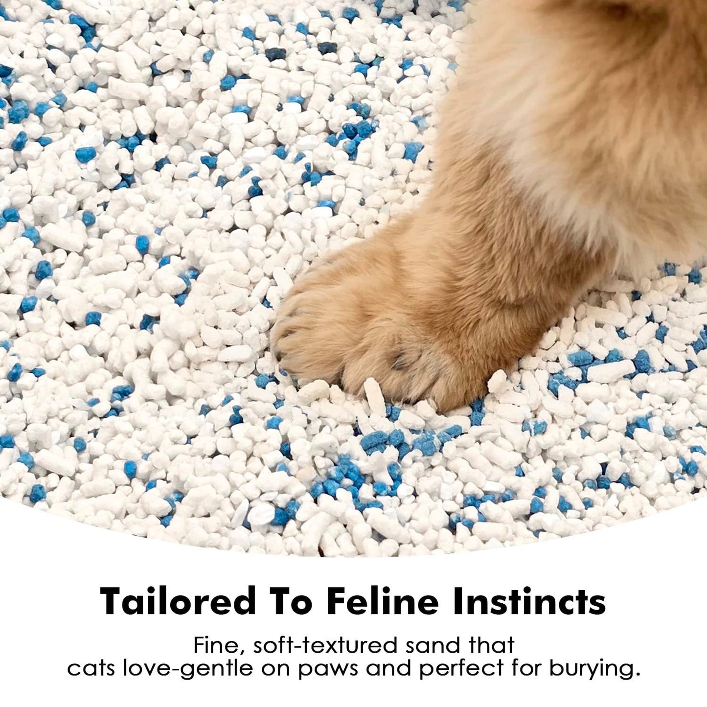 Plant-Based Cat Litter 26.4 lb - Clumping, Low Dust, Unscented, Multi-Cat, Odor3