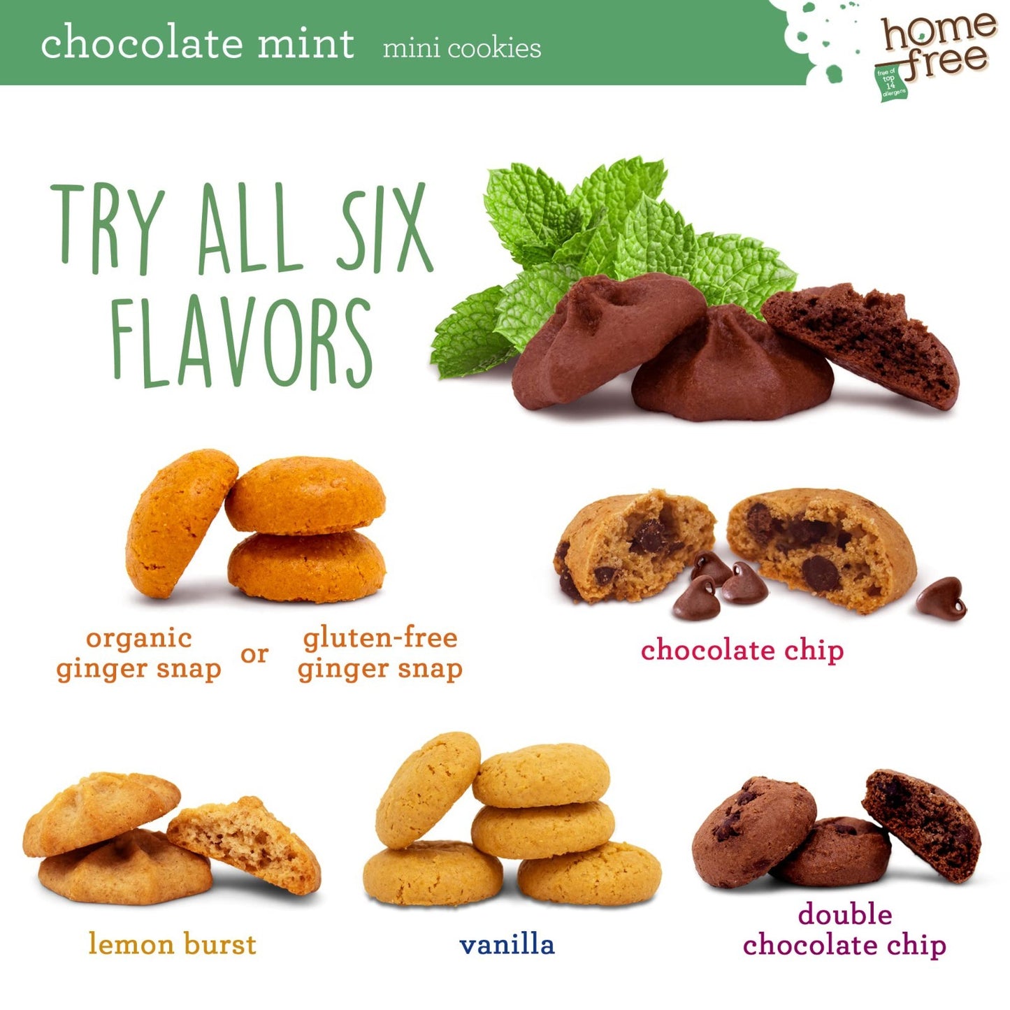 Nut Free Gluten Free Vegan Chocolate Mint Mini Cookies 3 lb Bulk - Allergy Frien7