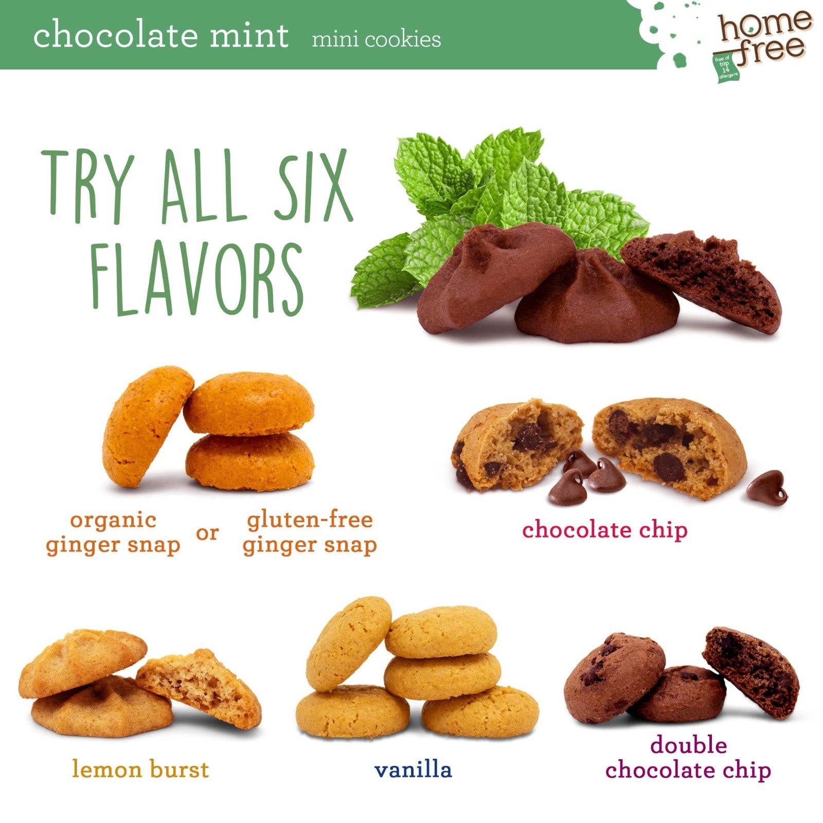 Nut Free Gluten Free Vegan Chocolate Mint Mini Cookies 3 lb Bulk - Allergy Frien7