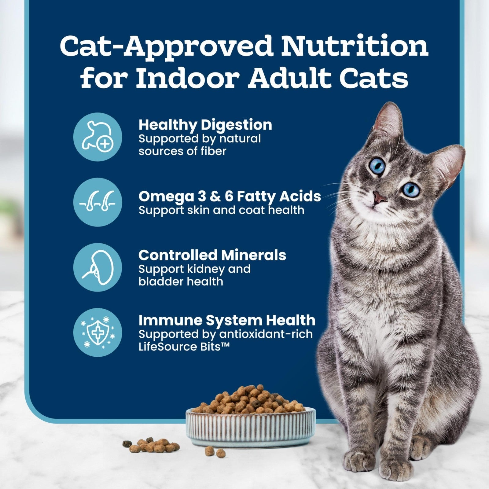 Indoor Dry Cat Food   Chicken Flavor, 10 lb   Healthy & Tasty for Adult Cats5