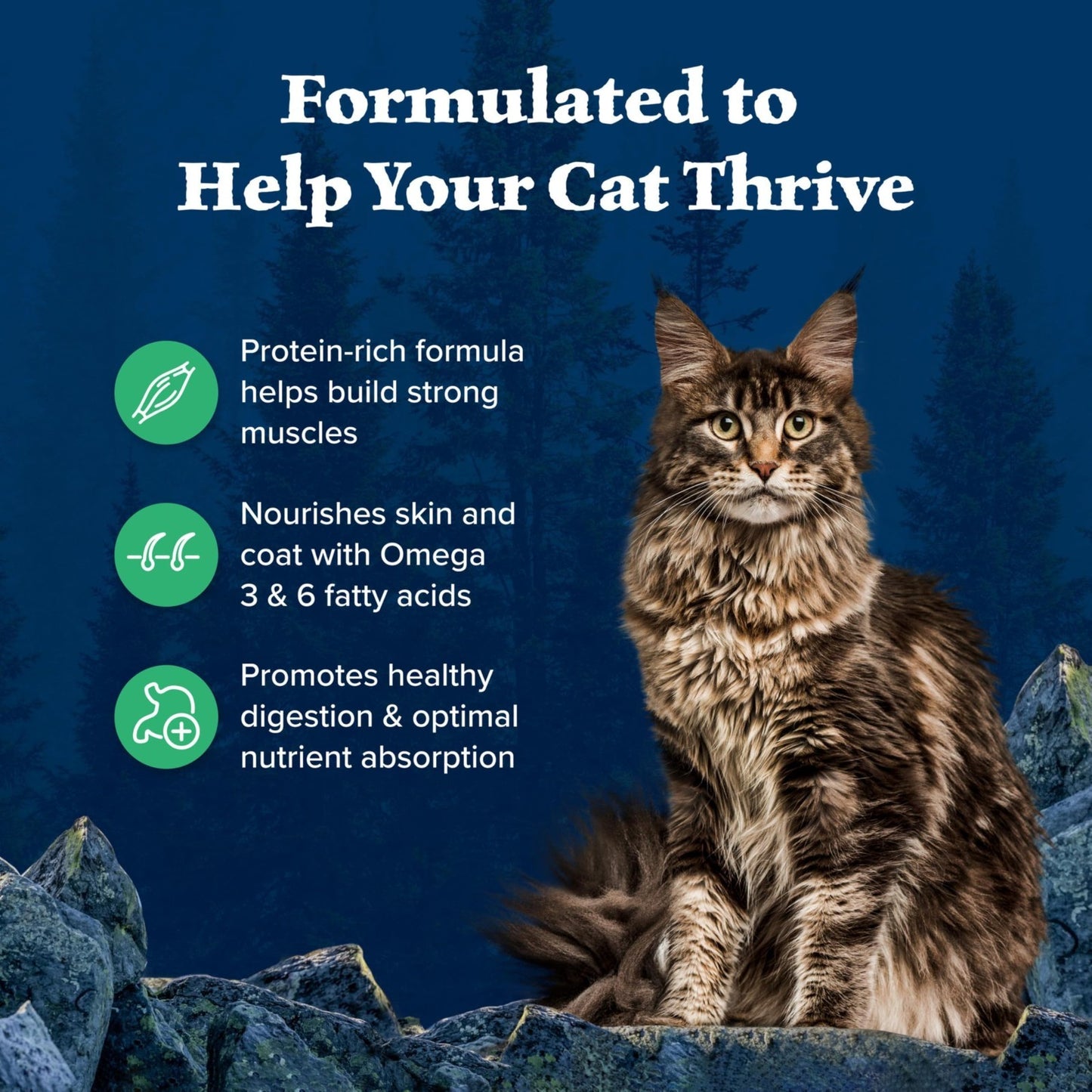 Grain Free Duck Dry Cat Food for Adults, High Protein, 5 lb Bag, Natural Nutriti3
