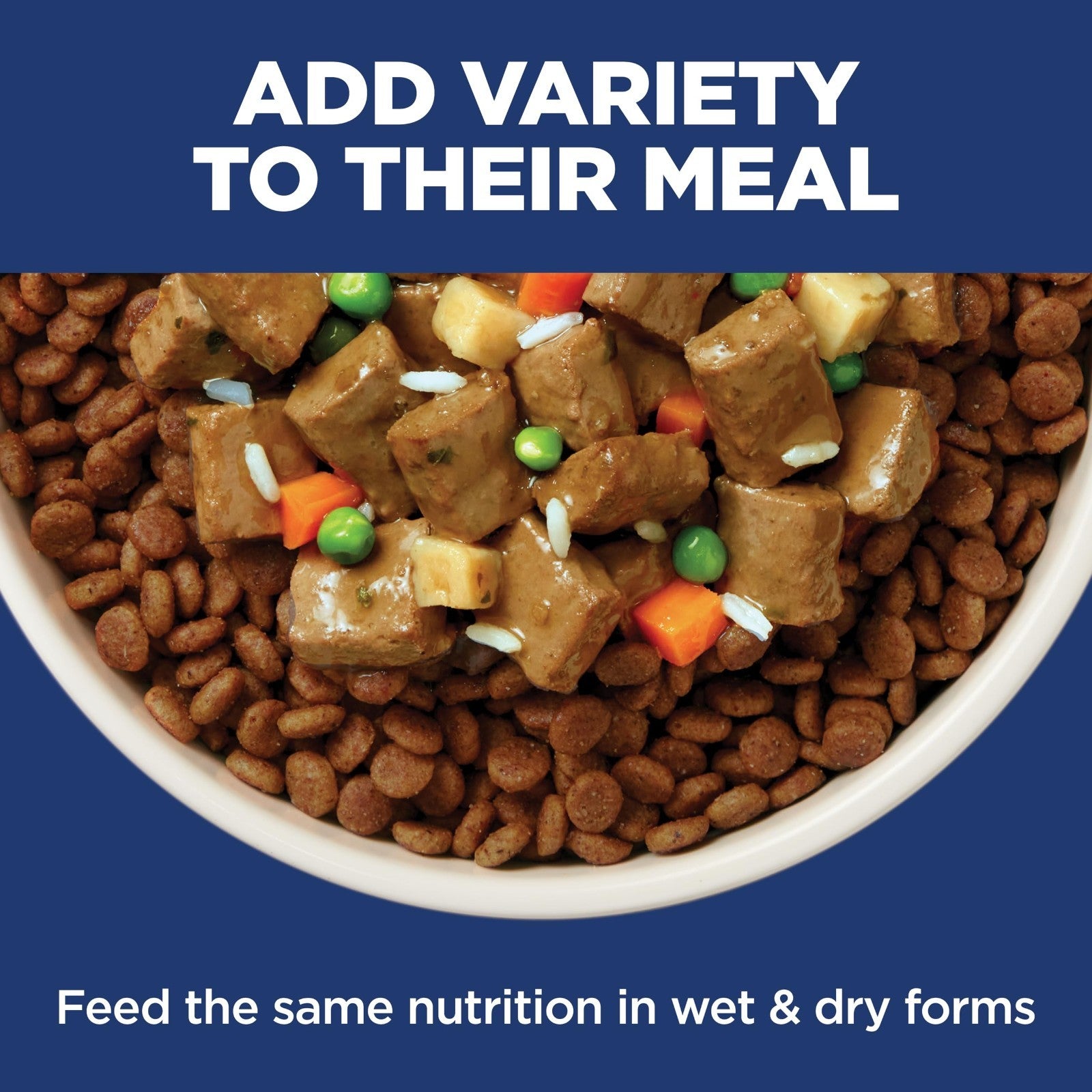 Sensitive Stomach & Skin Small Bites Dry Dog Food   Premium Nutrition for Dogs9