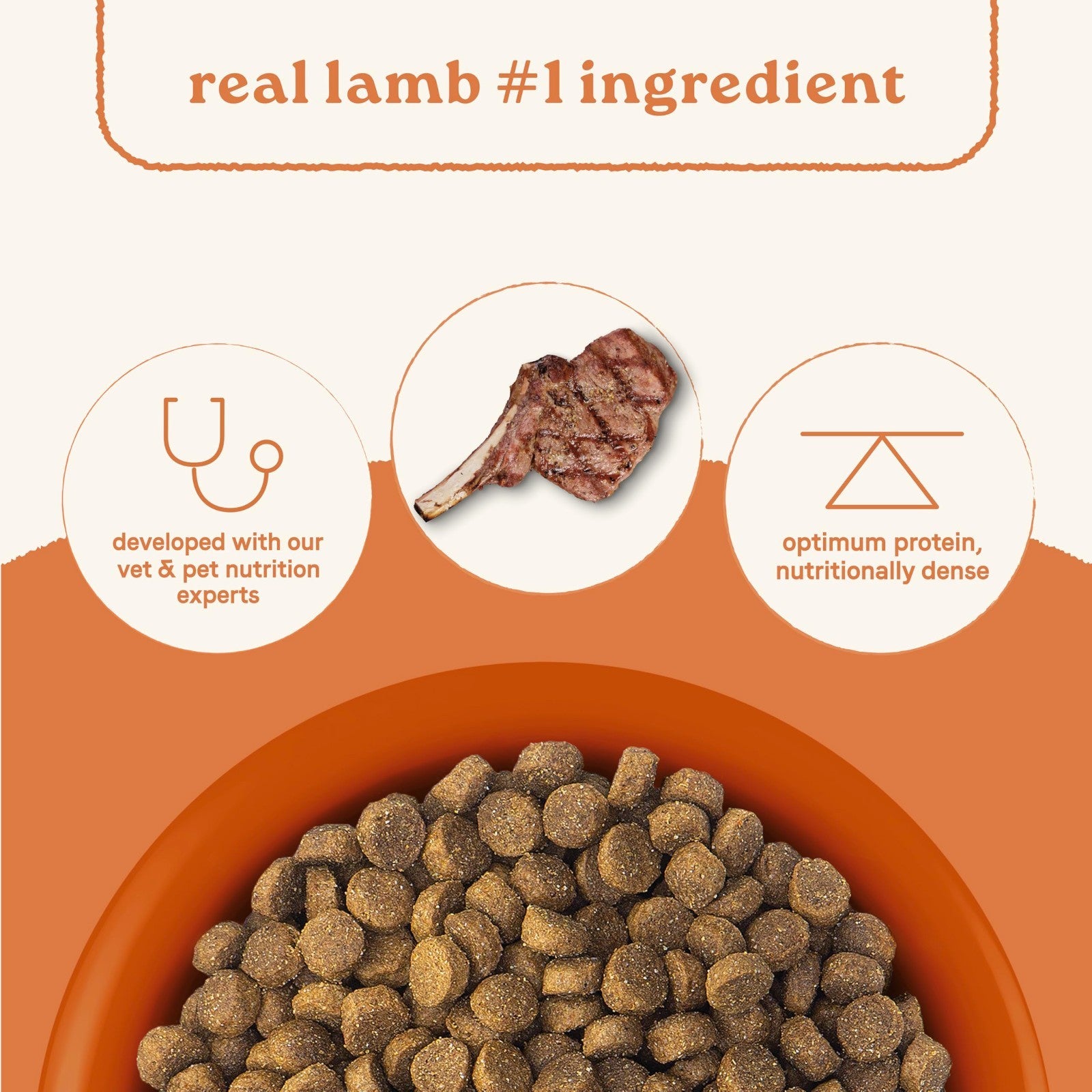 All Life Stages Dog Food, Real Lamb & Ancient Grains, 5 lb   Healthy Nutrition2