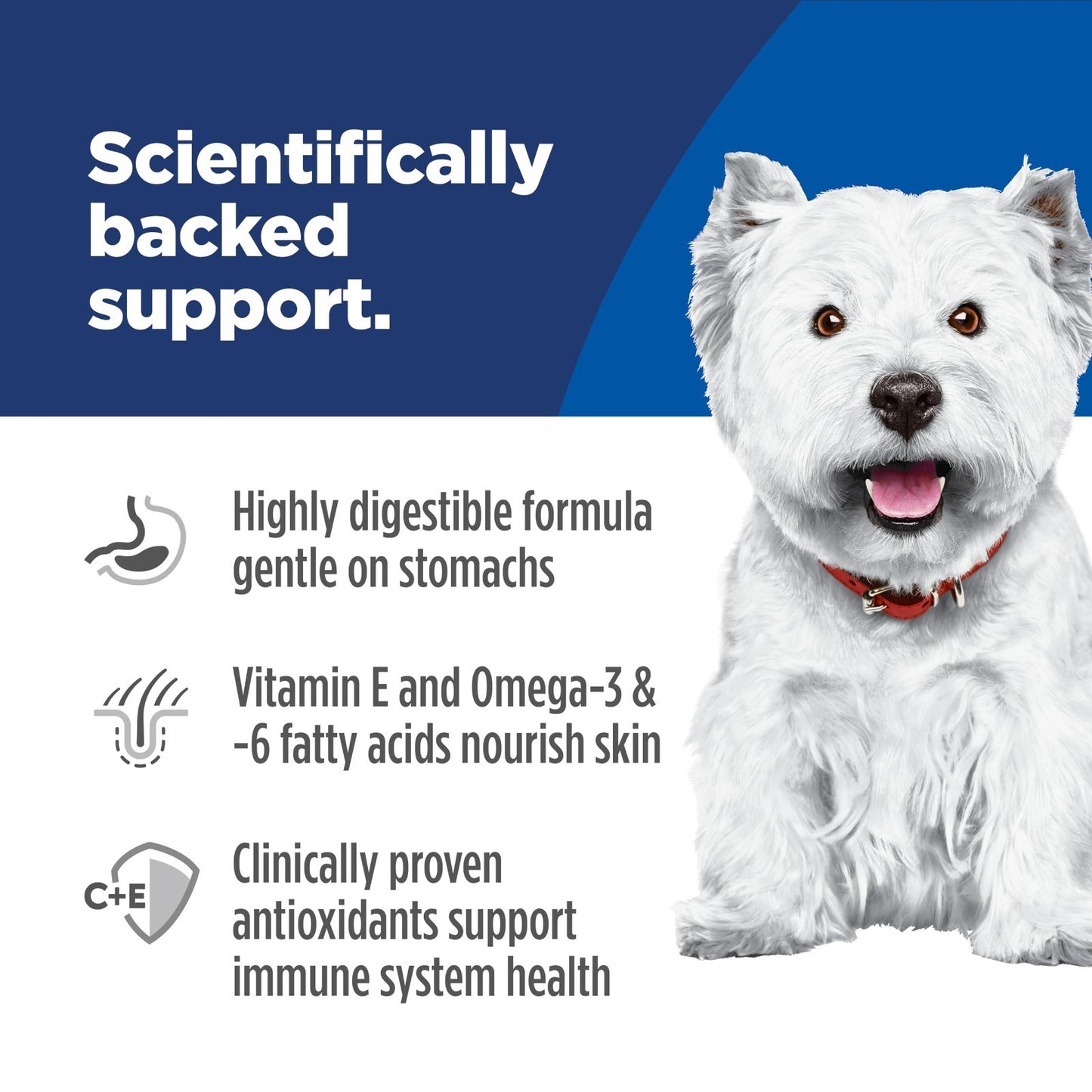 Sensitive Stomach & Skin Small Bites Dry Dog Food   Premium Nutrition for Dogs4