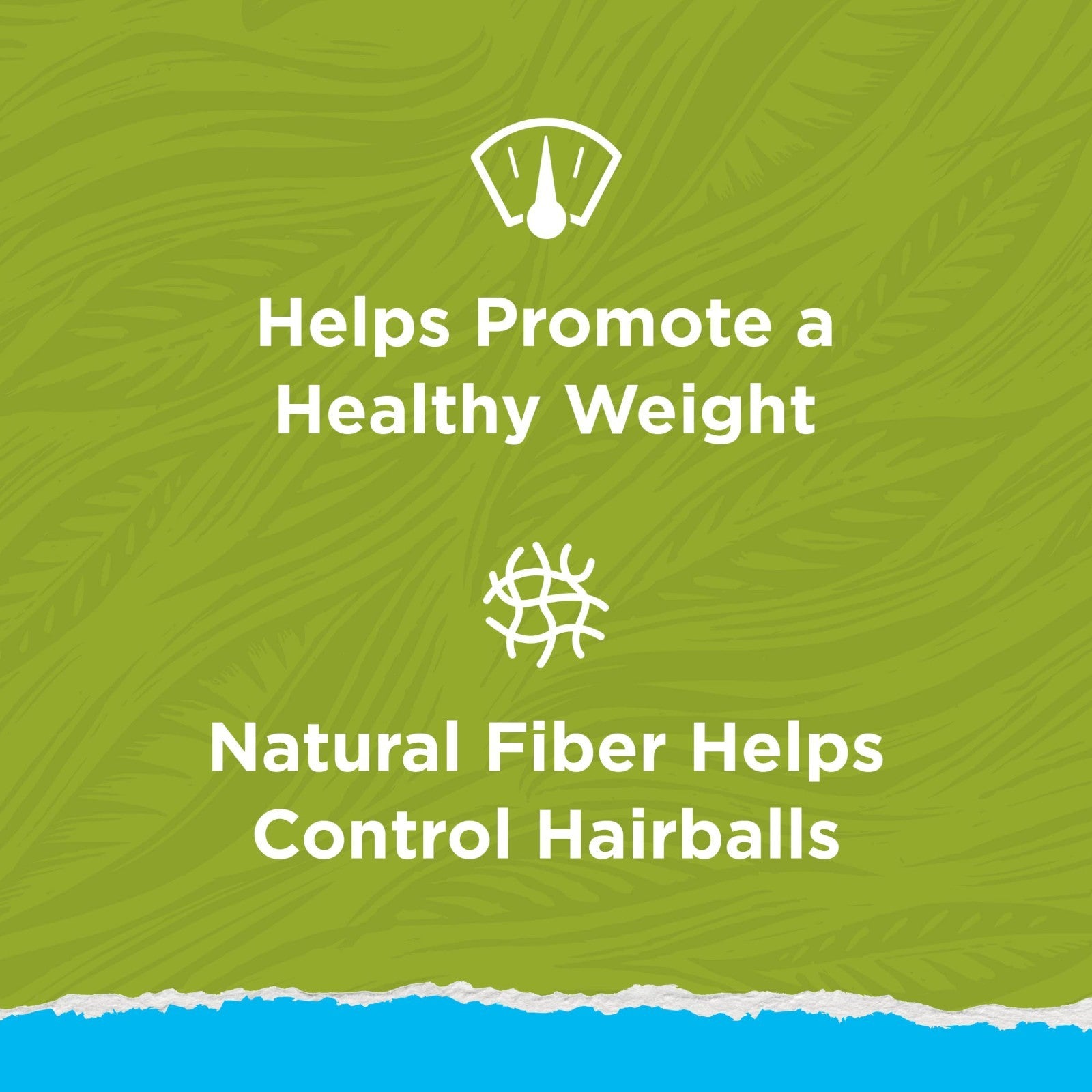 Natural Indoor Dry Cat Food for Hairball Control   13 lb Bag, Healthy Nutrition2