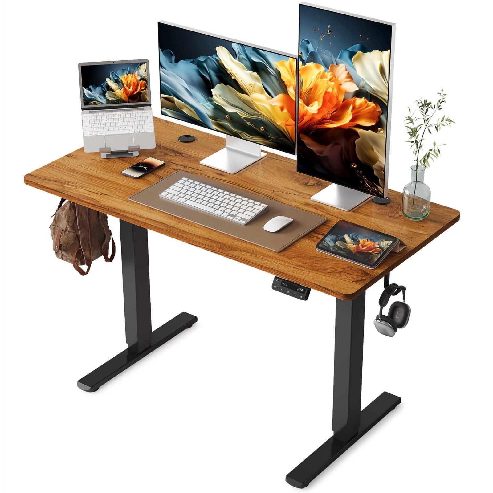 Adjustable Electric Standing Desk 48x24, Height-Adjustable Computer Desk for Hom1