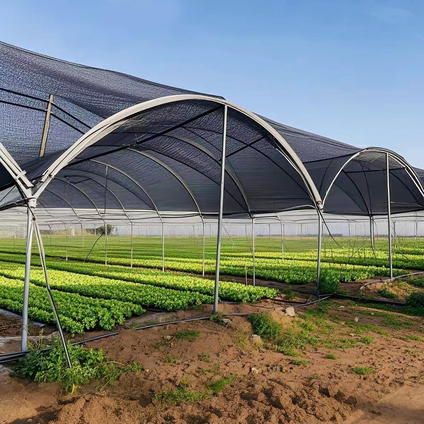 50% Black Shade Cloth 30x50 FT - Garden Mesh Tarp for Greenhouse, Patio, Plants2