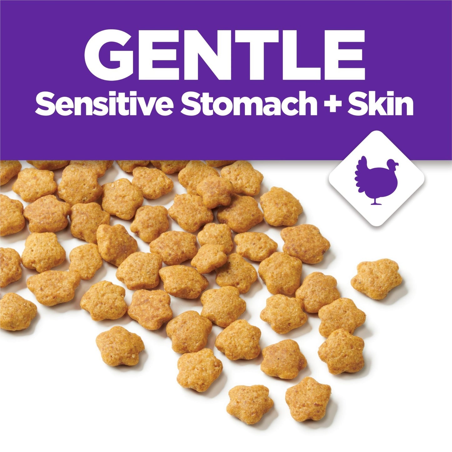 Sensitive Stomach & Skin Dry Cat Food, 13 lb Bag   Gentle Formula for Cats6