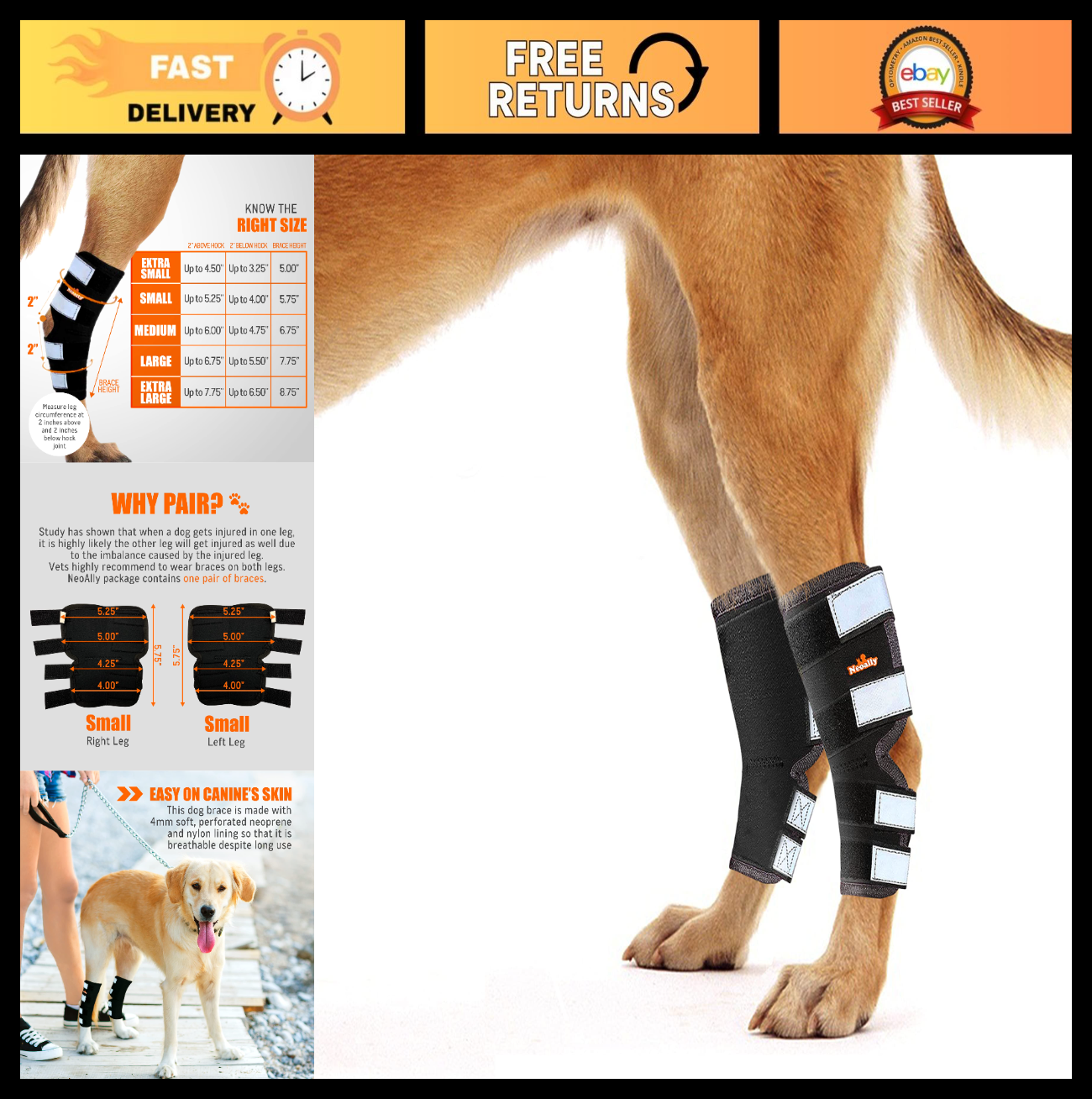 Rear Leg Hock Brace for Large Dogs - Support for Torn ACL & CCL, 1 Pair0