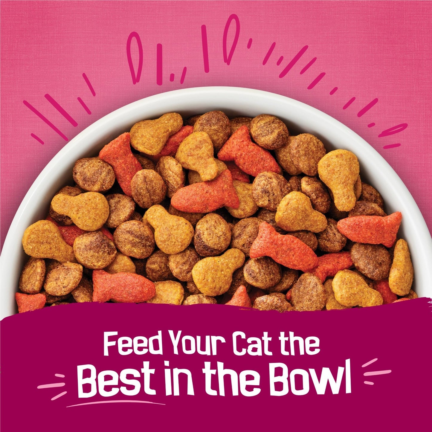 Savory Gravy Swirlers Dry Cat Food with Chicken & Salmon   3.15 lb Bag6