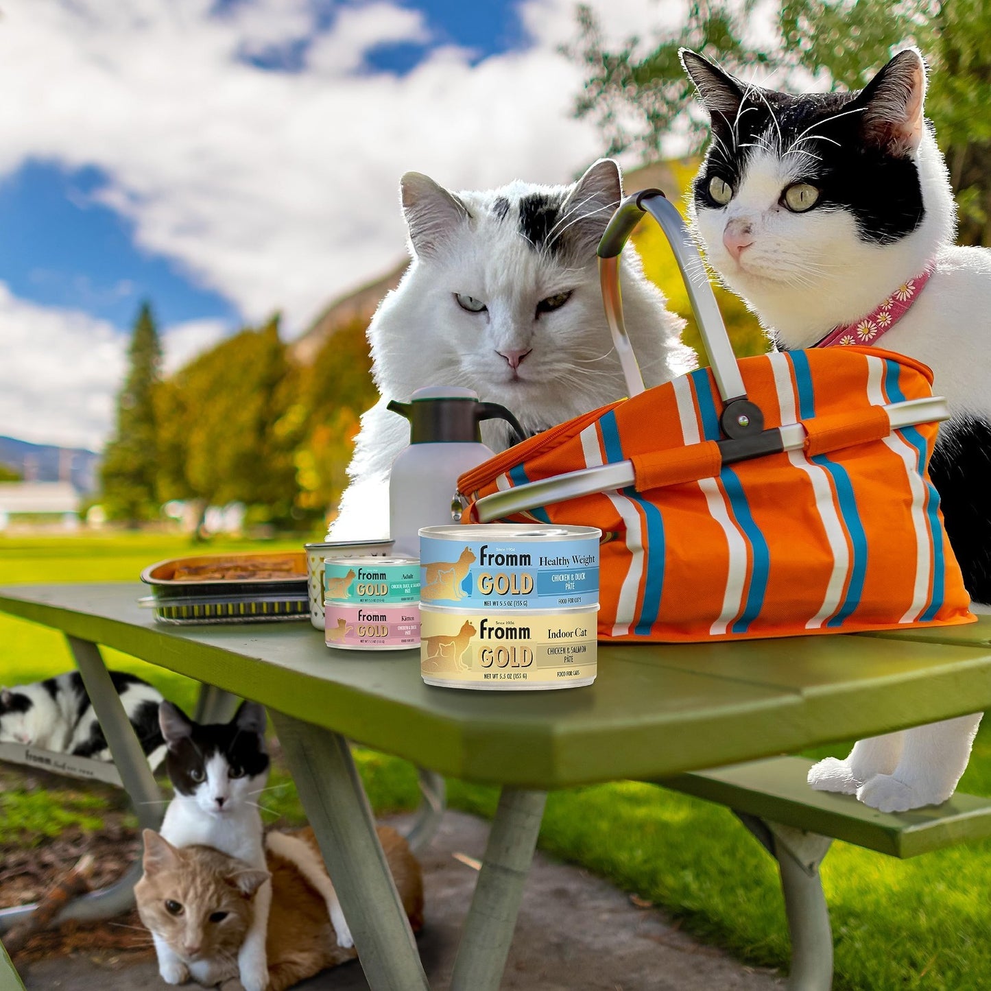 Healthy Weight Chicken & Duck Pate Cat Food - Premium Wet Food - 12 Cans 5.5oz7
