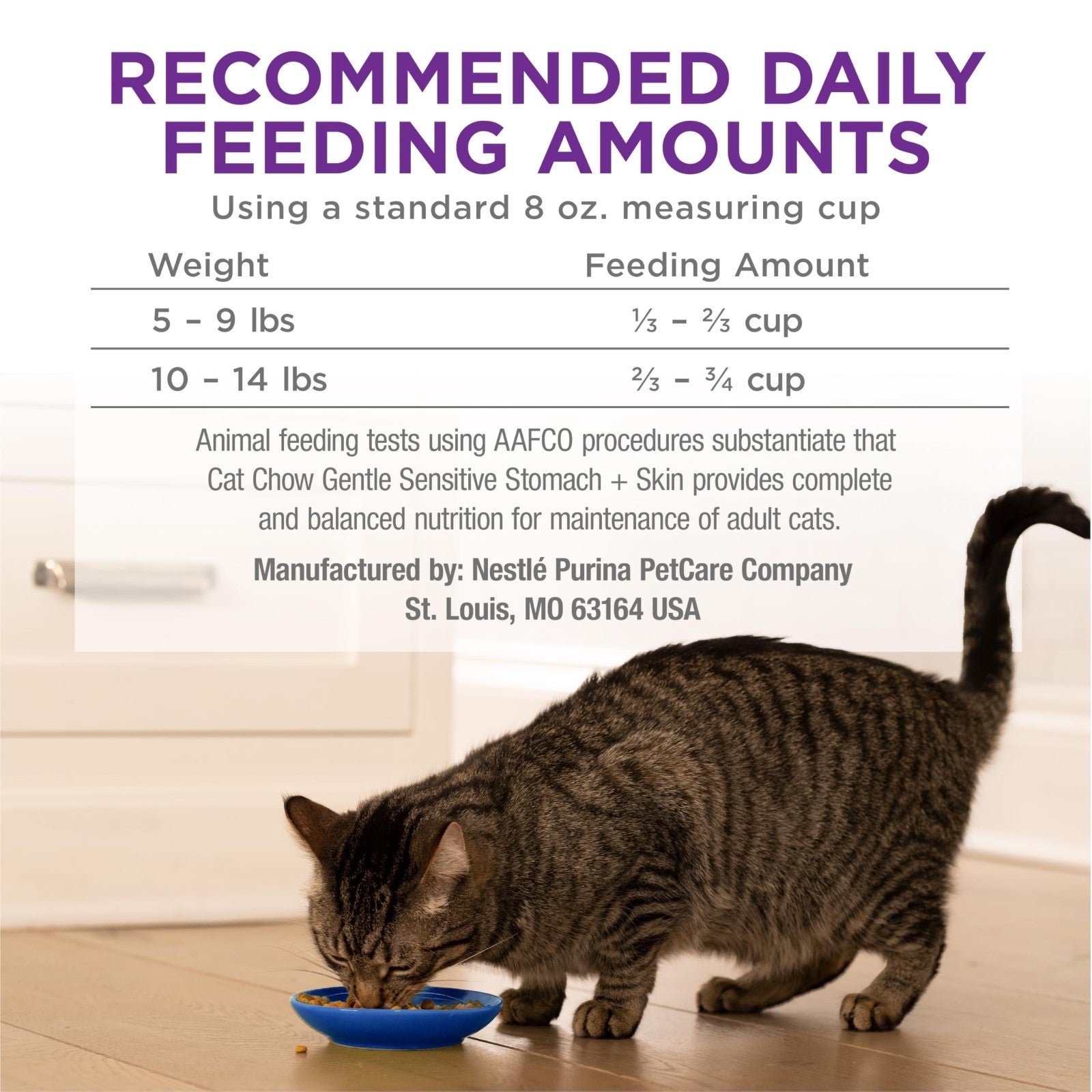 Sensitive Stomach & Skin Dry Cat Food, 13 lb Bag   Gentle Formula for Cats5