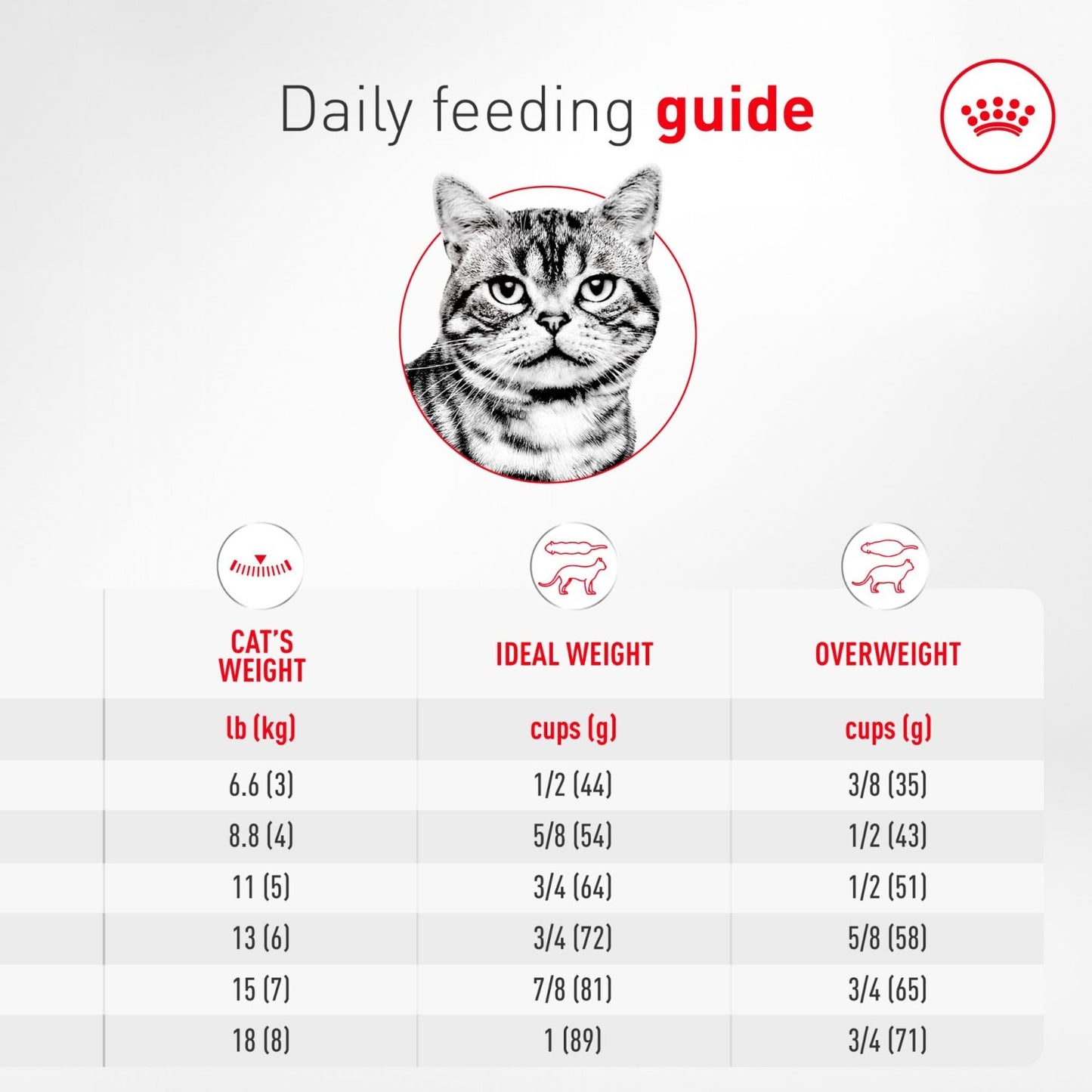 American Shorthair Adult Dry Cat Food, 5.5 lb - Premium Nutrition for Cats7