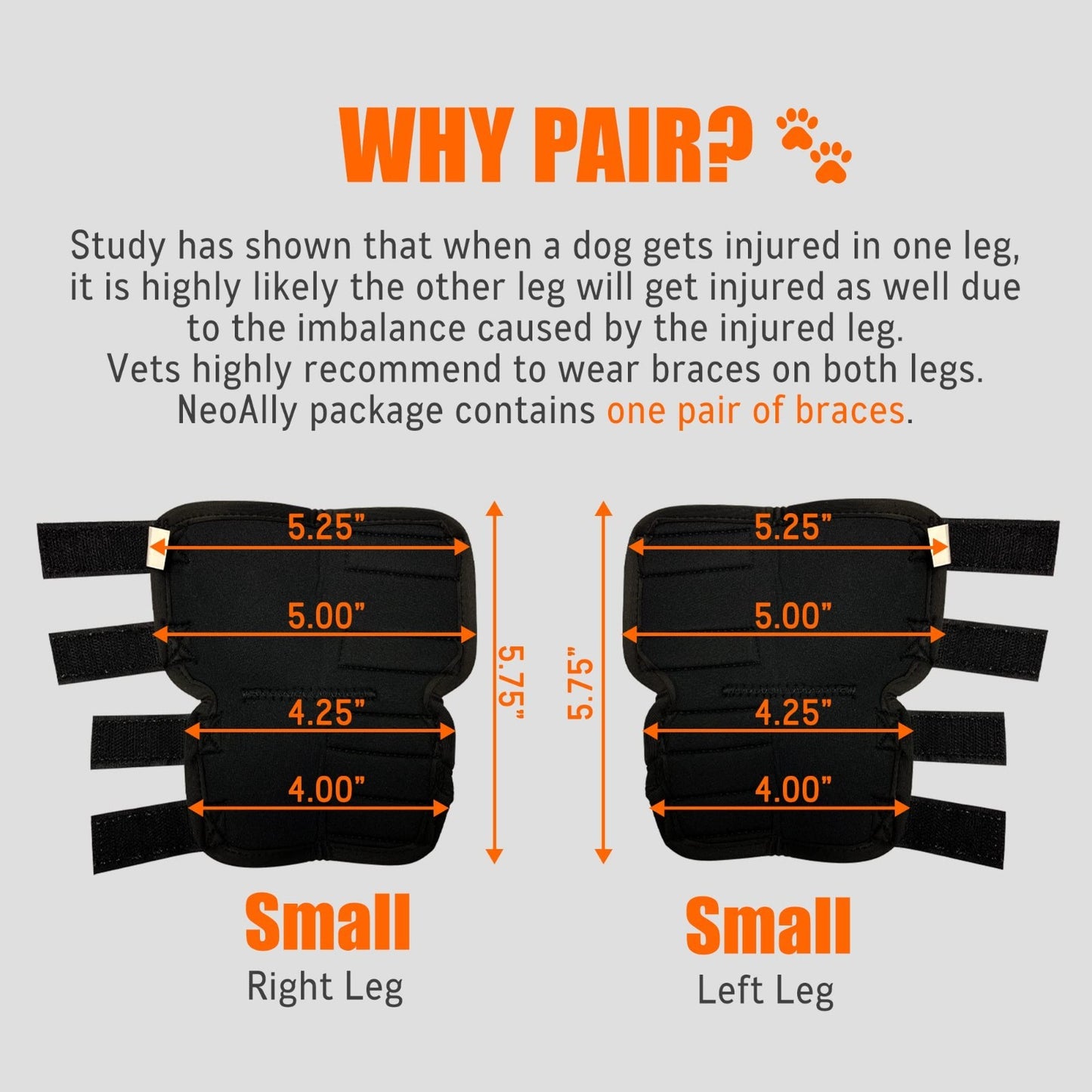 Rear Leg Hock Brace for Large Dogs - Support for Torn ACL & CCL, 1 Pair3