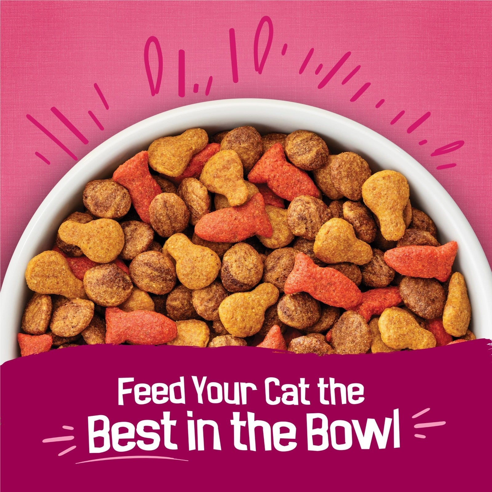 Savory Gravy Swirlers Dry Cat Food   Chicken & Salmon Flavor   22 lb Bag6