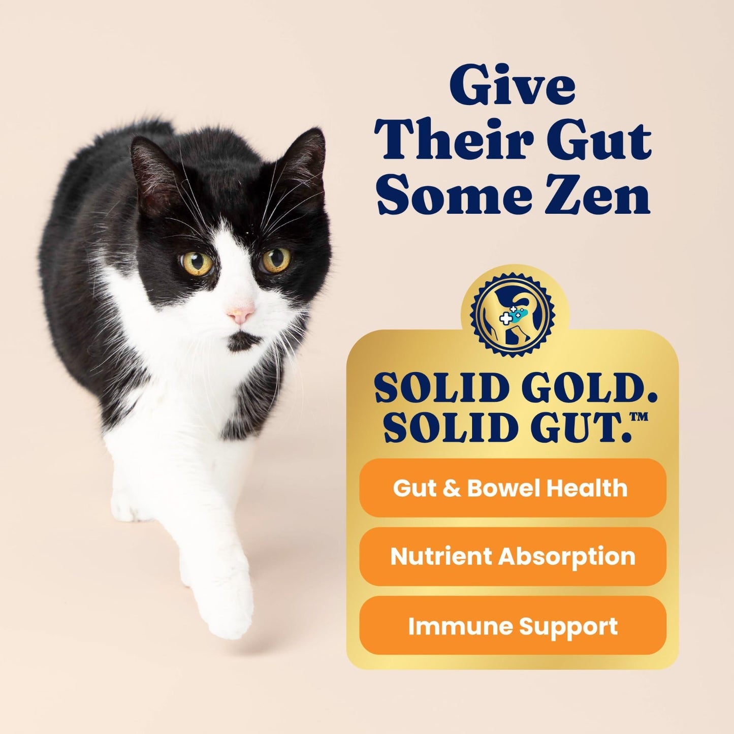 High Protein Chicken Dry Cat Food for Cats & Kittens, 6LB   Grain Free Nutrition5