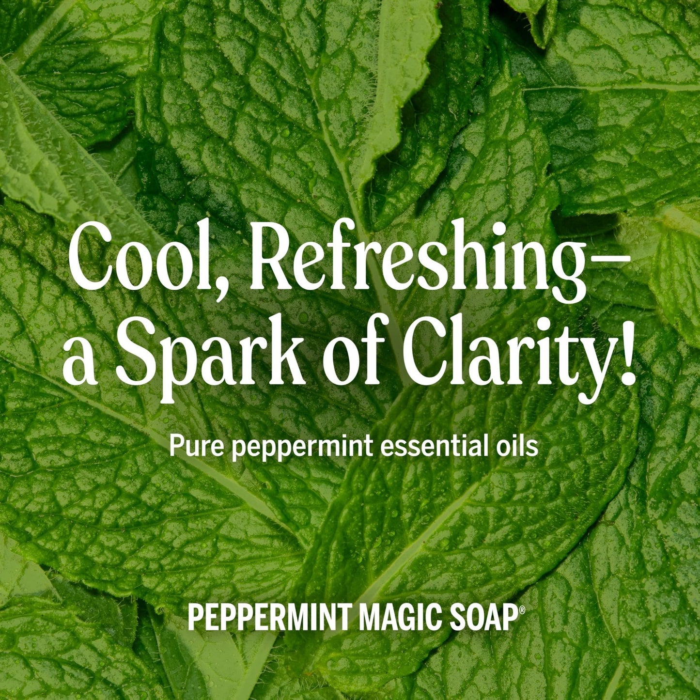 Peppermint Pure-Castile Liquid Soap 16 oz 2-Pack | 18-in-1 Uses: Body Wash, Sham4