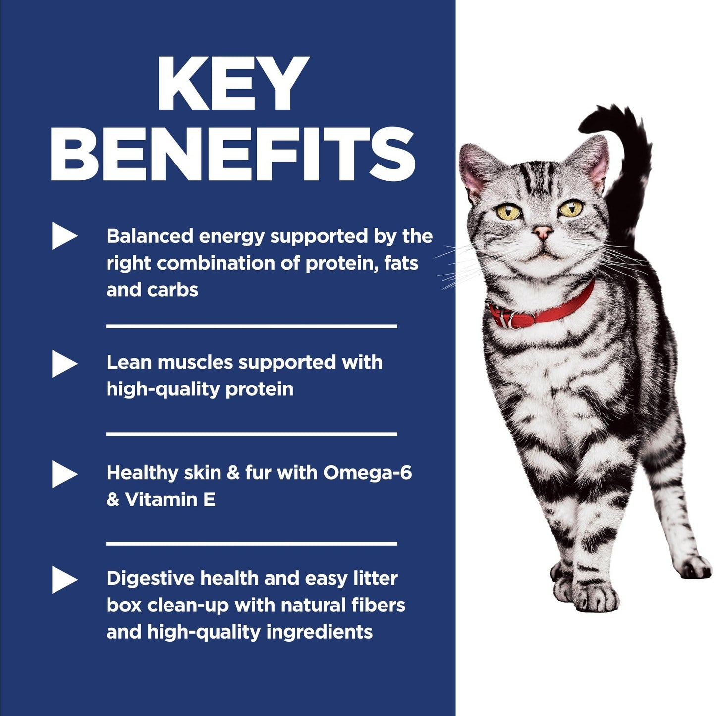Premium Indoor Dry Cat Food for Adult Cats 1 6 Years   Healthy Nutrition & Taste3