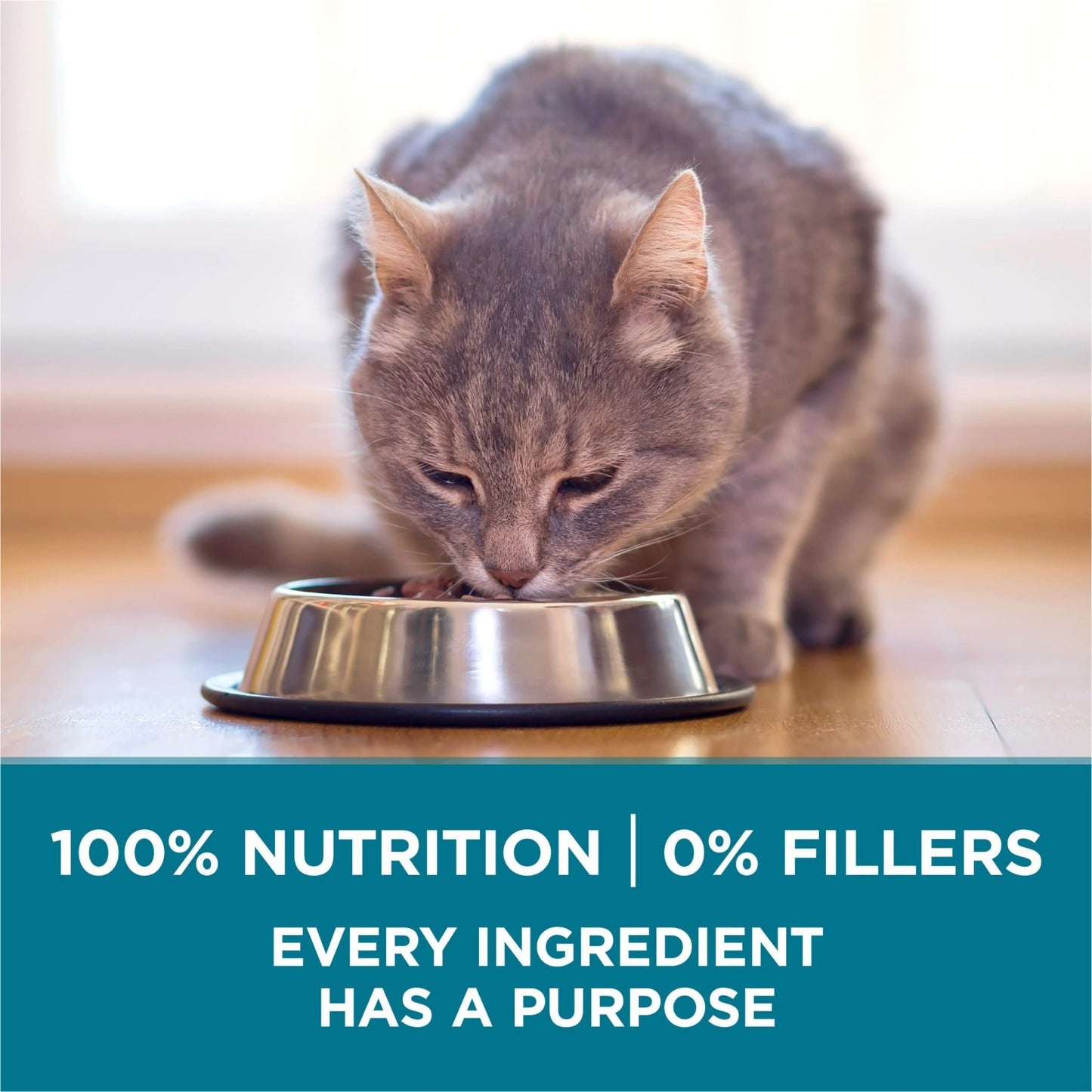 Tender Selects Dry Cat Food with Salmon, 7 lb   High Protein, Natural Ingredient8