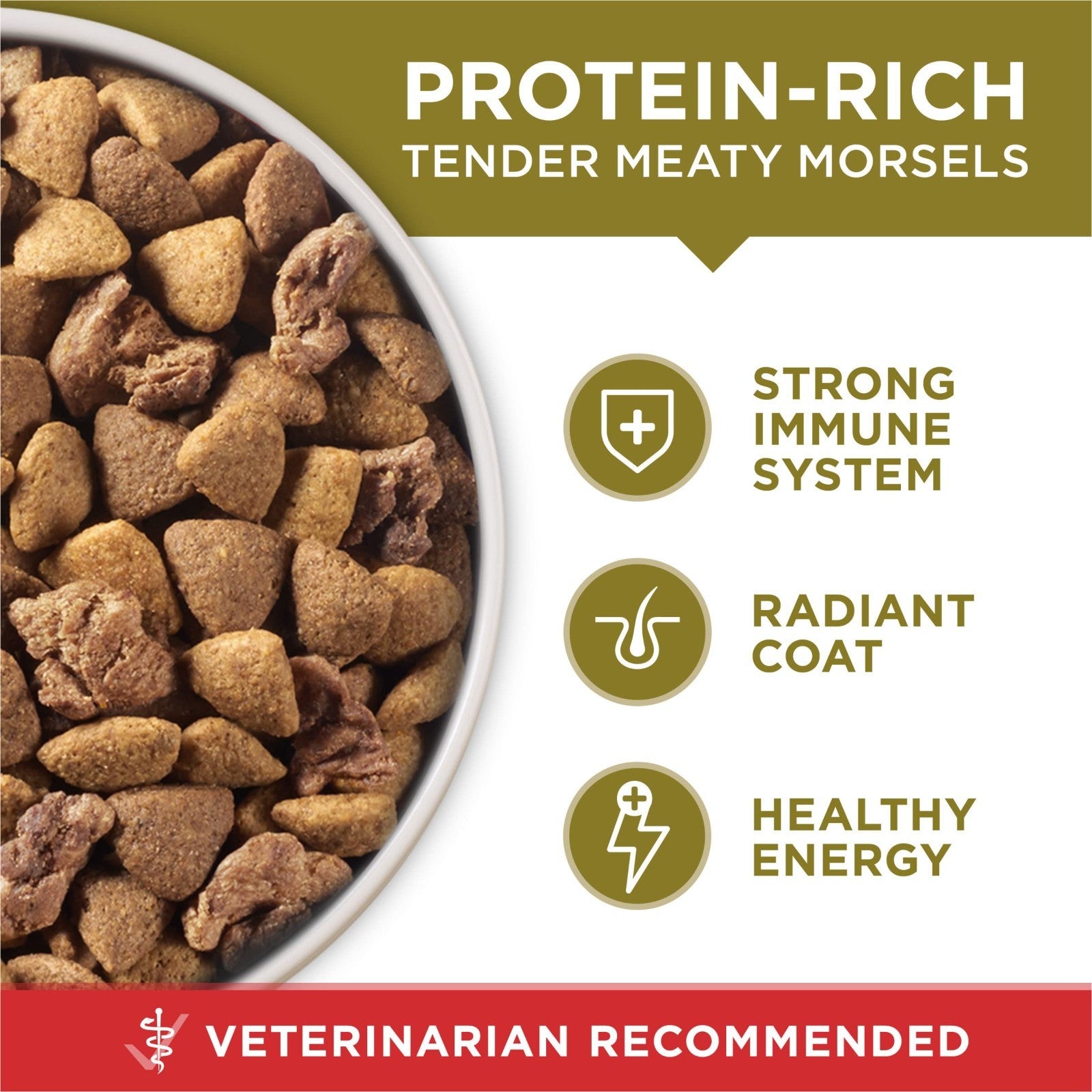 High Protein Lamb & Rice Dry Dog Food, 31.1 lb Bag, Healthy Nutrition for Dogs8