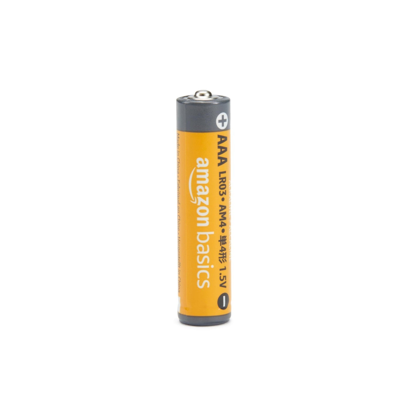 AAA Alkaline Batteries 12 Count   Long Lasting 1.5V, 10 Year Shelf Life for Home2