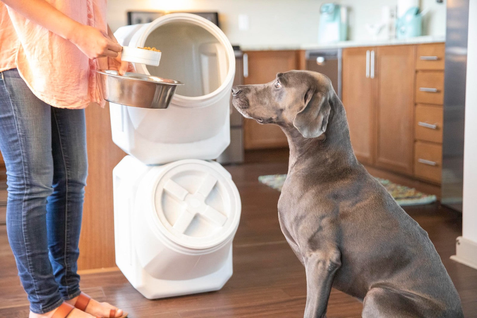 Pet Food Storage Container with Scoop, 60lbs Capacity, Gray, Dog & Cat Supplies15