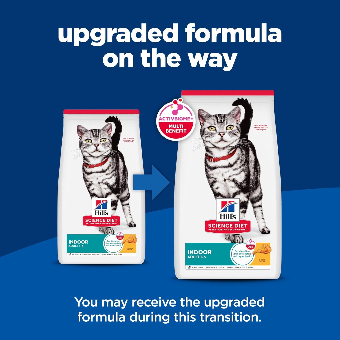 Premium Indoor Dry Cat Food for Adult Cats 1 6 Years   Healthy Nutrition & Taste2