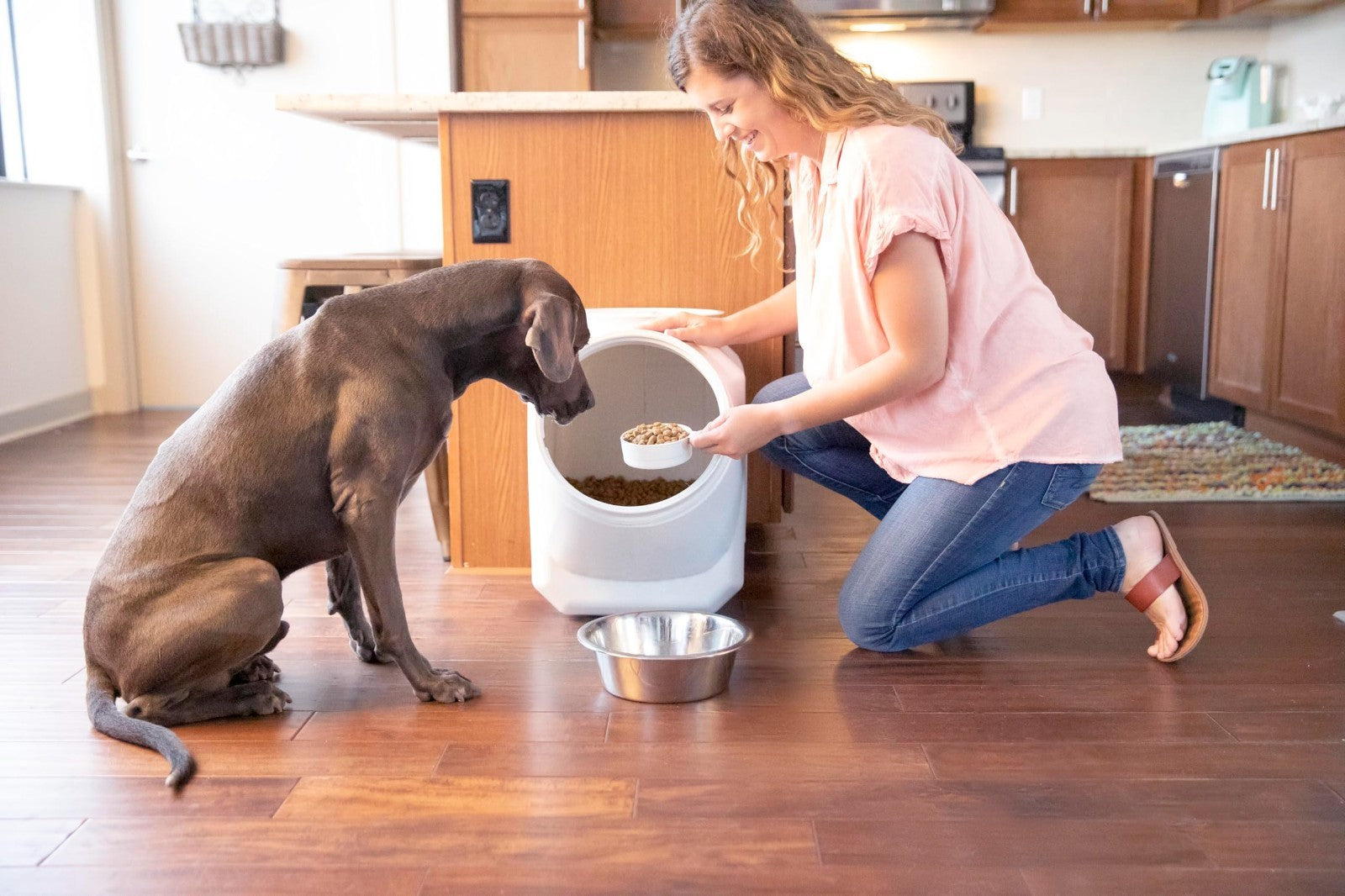 Pet Food Storage Container with Scoop, 60lbs Capacity, Gray, Dog & Cat Supplies2