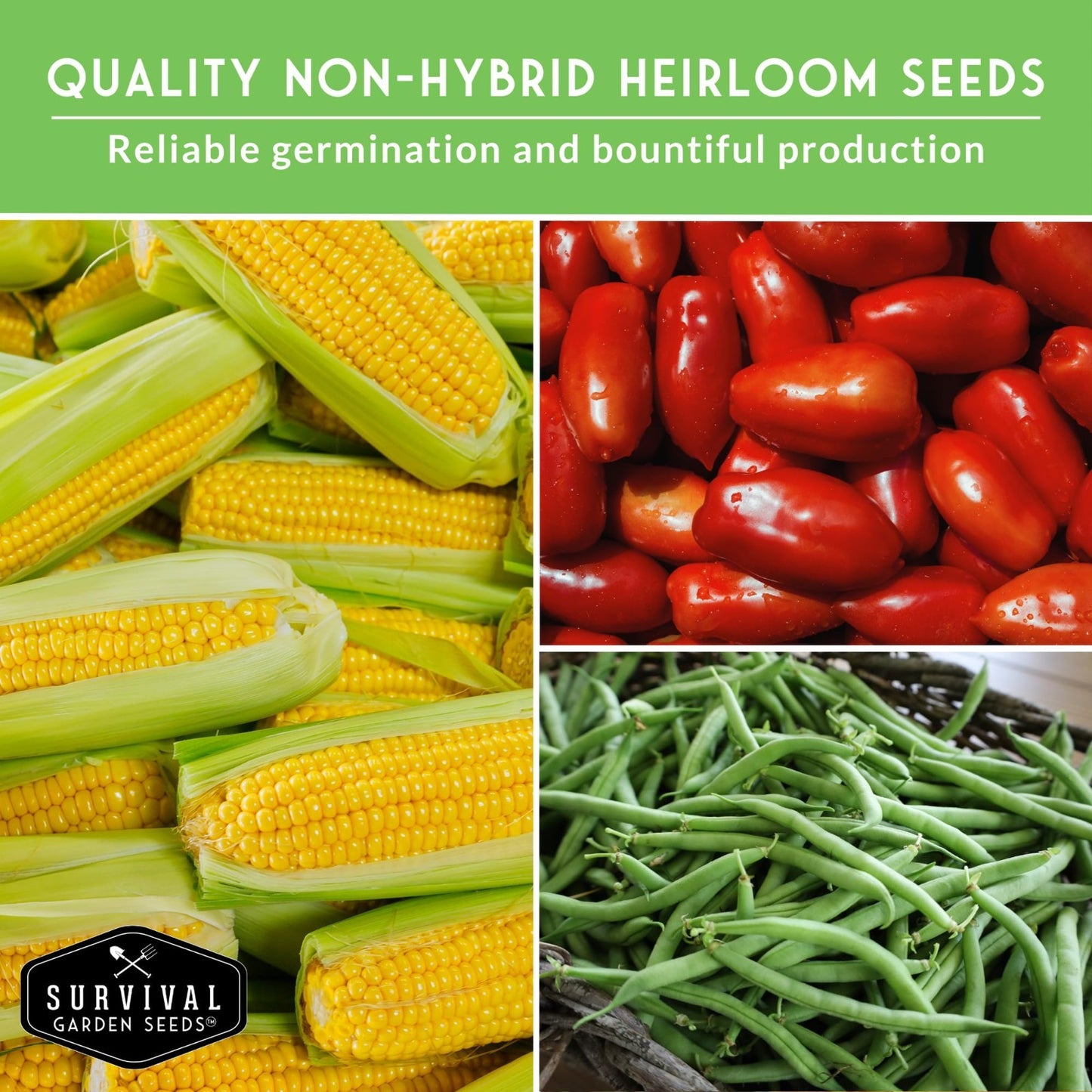 Heirloom Survival Garden Seeds Starter Pack - Protein, Grain, Root & Oilseed Cro3