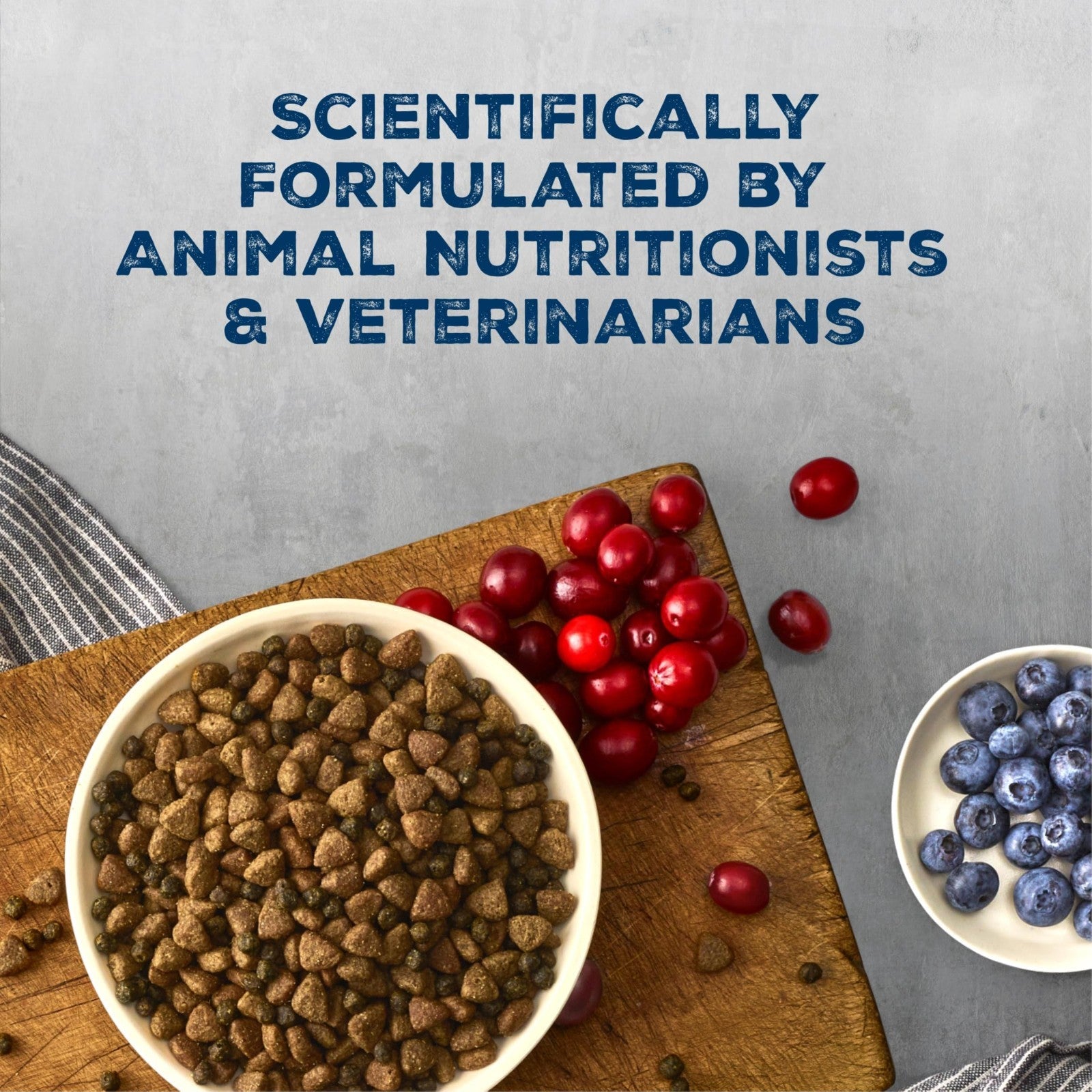 Grain Free Salmon & Wholesome Grains Adult Dry Dog Food 4.5 lb   High Protein, N4