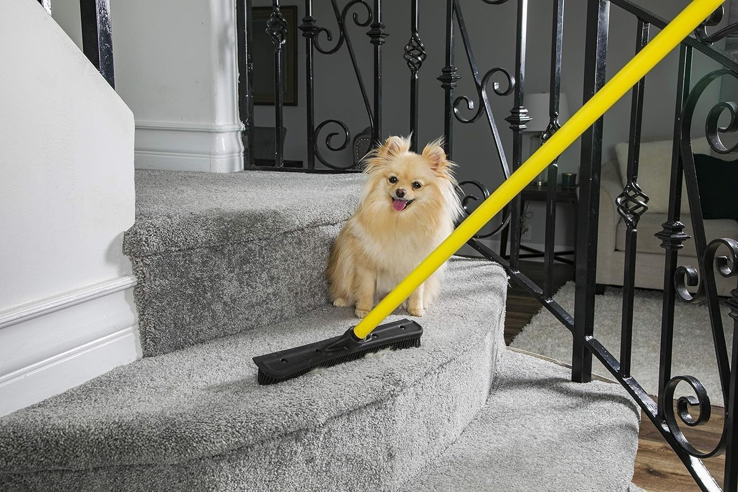 Pet Hair Removal Rubber Broom with 58" Telescopic Handle - Easy Clean & Efficien2